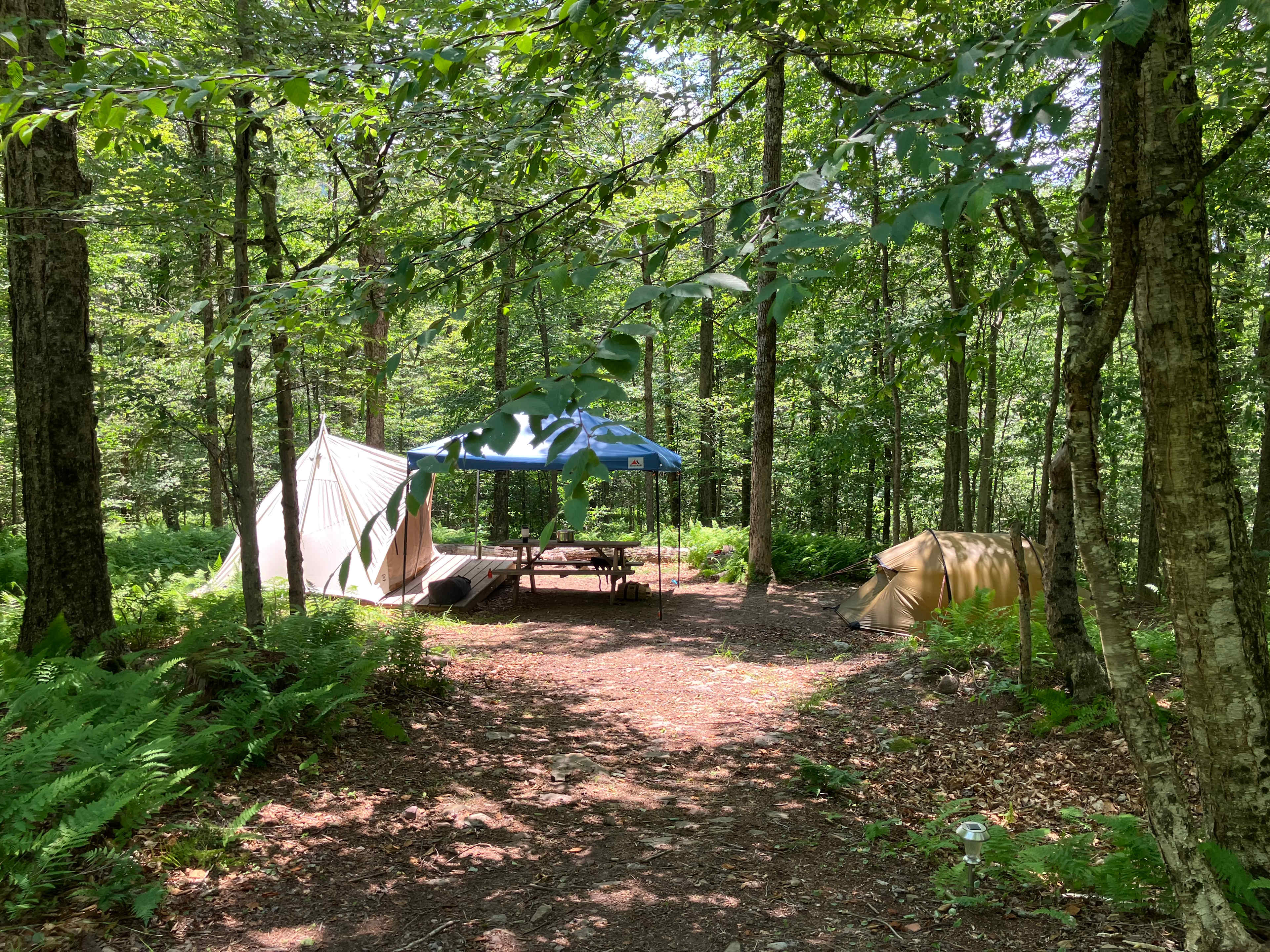Picture of the site