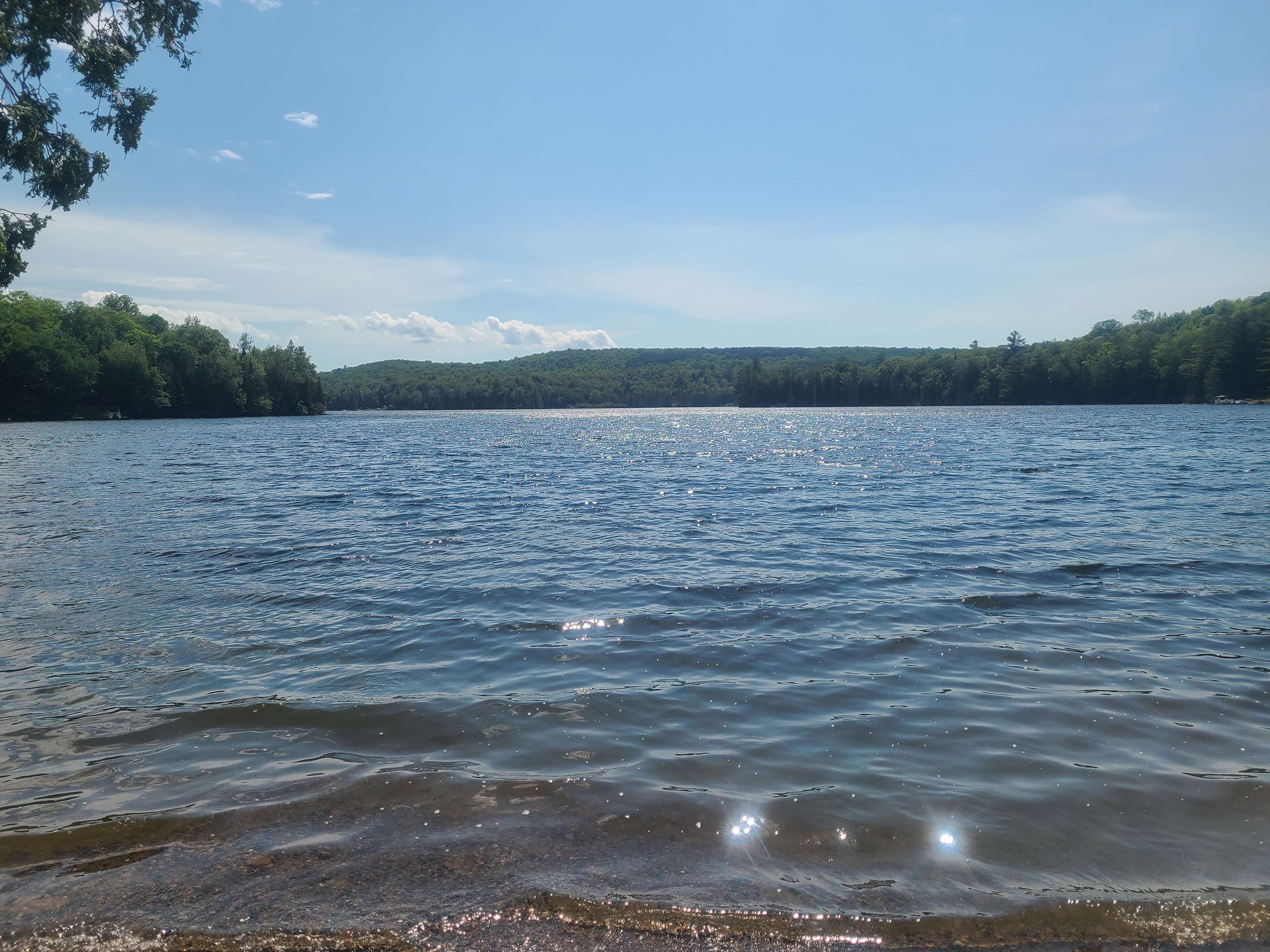 Salmon Trout Lake