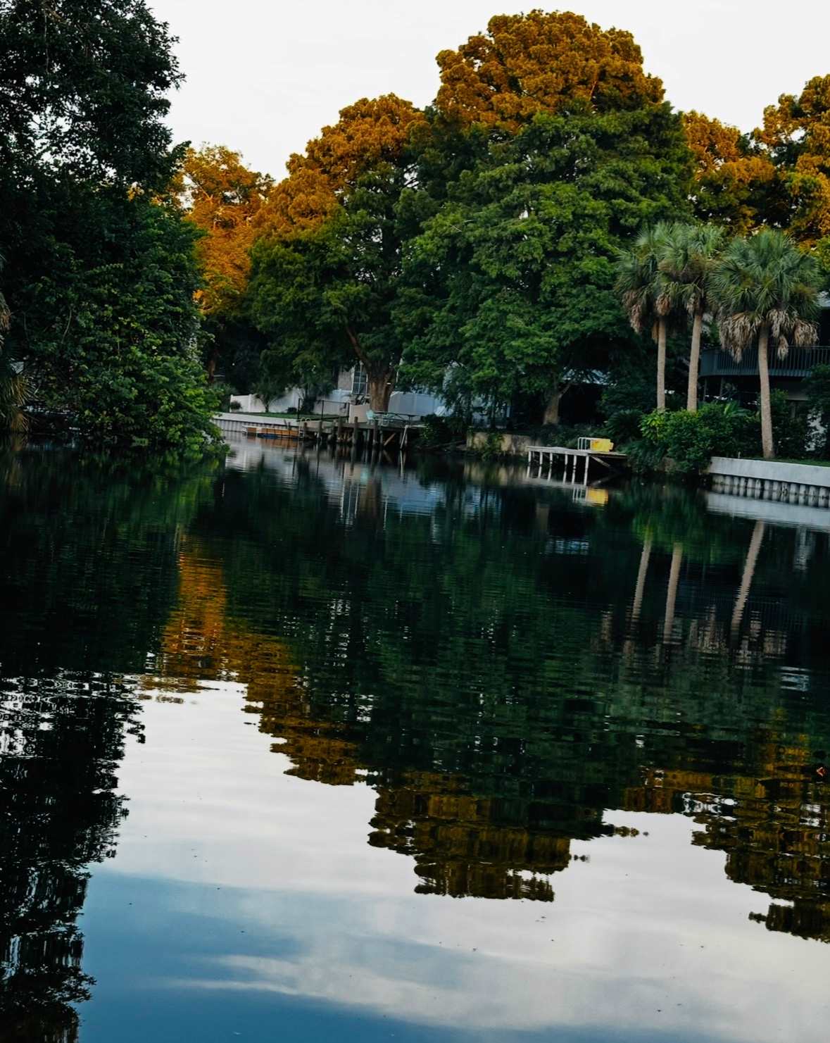 Sunset on the cypress. Taken from the dock.