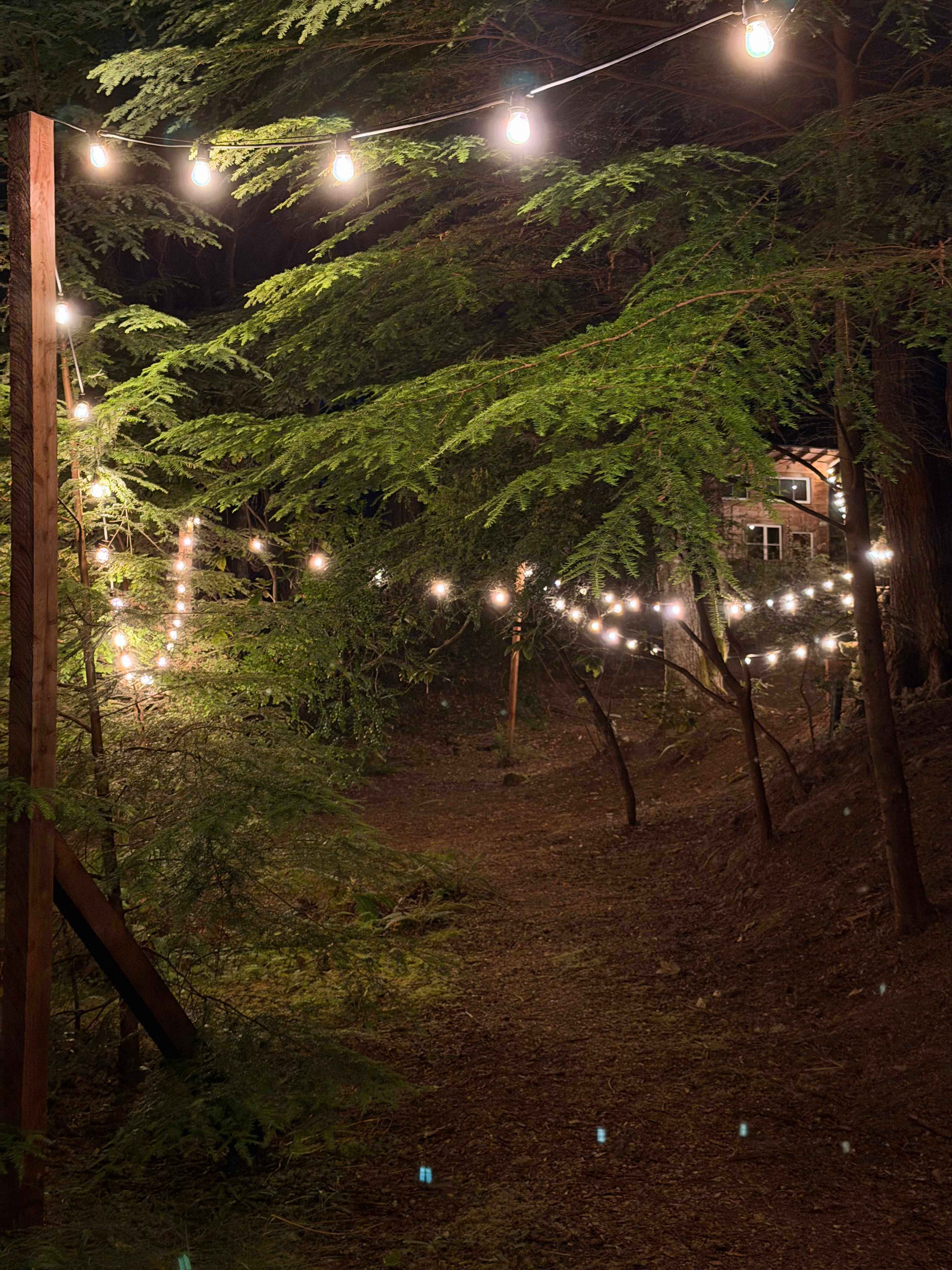 Woods by the Sea Ashram