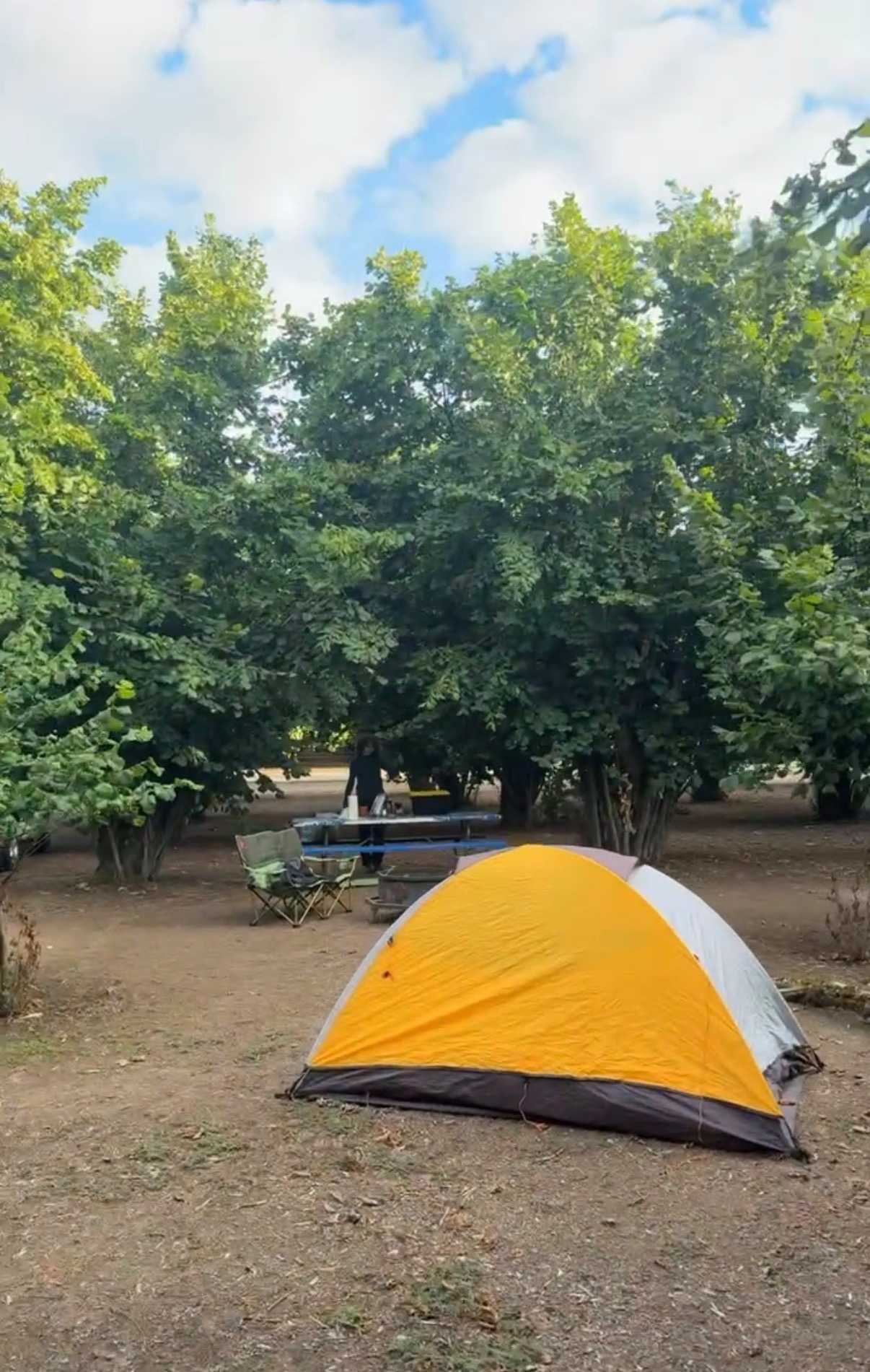 Tranquil Orchard and Wine Tours