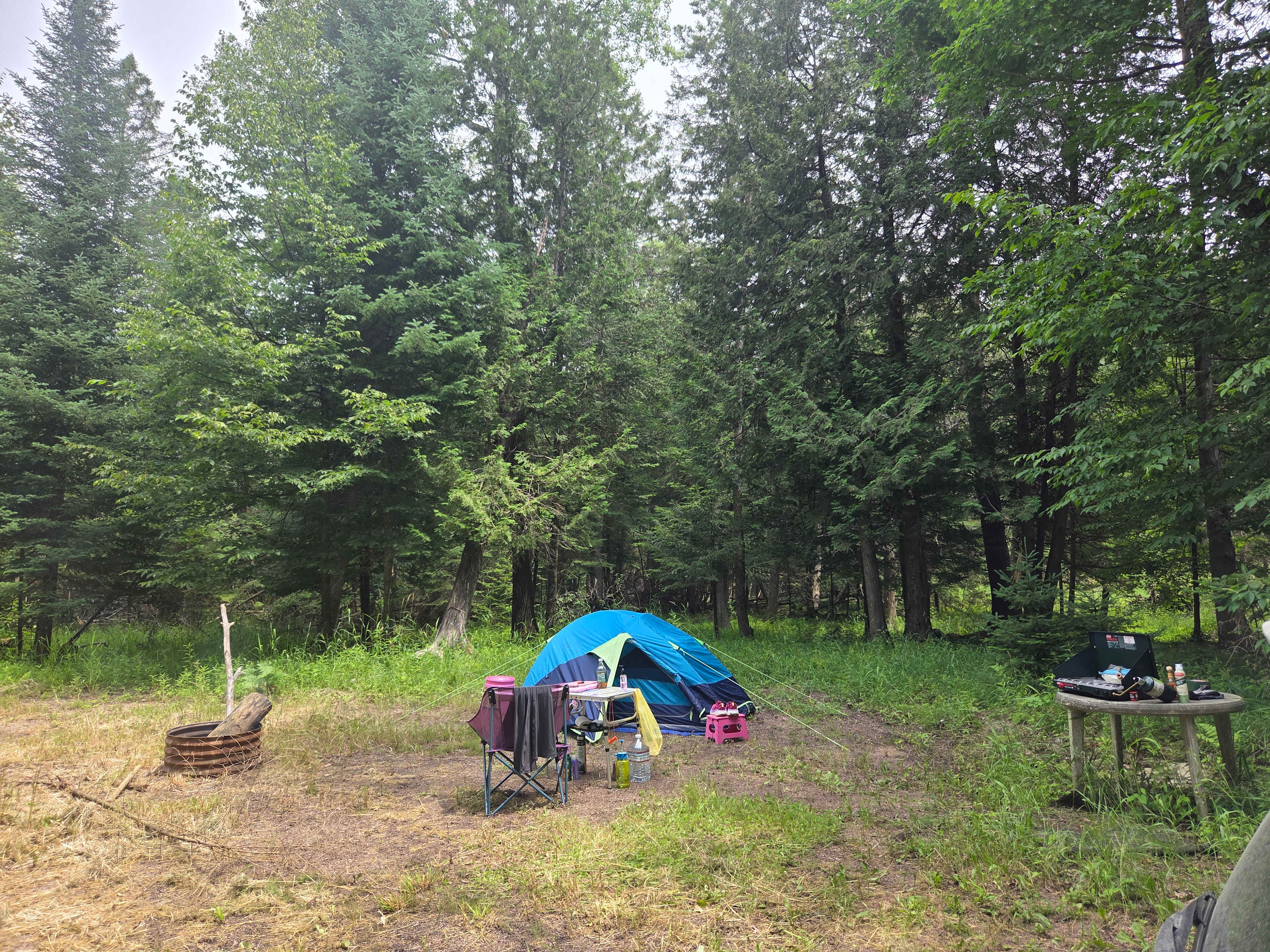 Picture of the site
