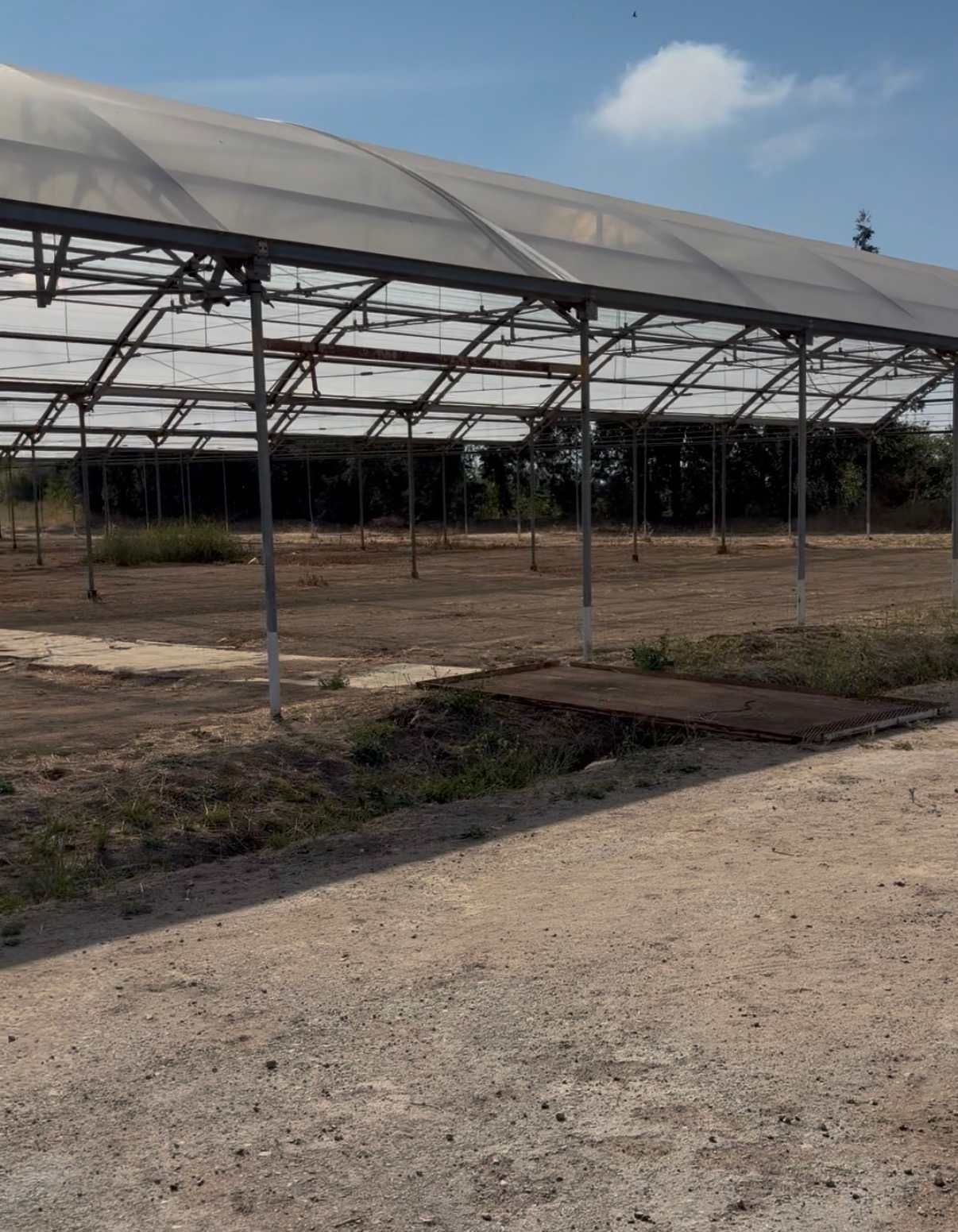 Toyo Farm