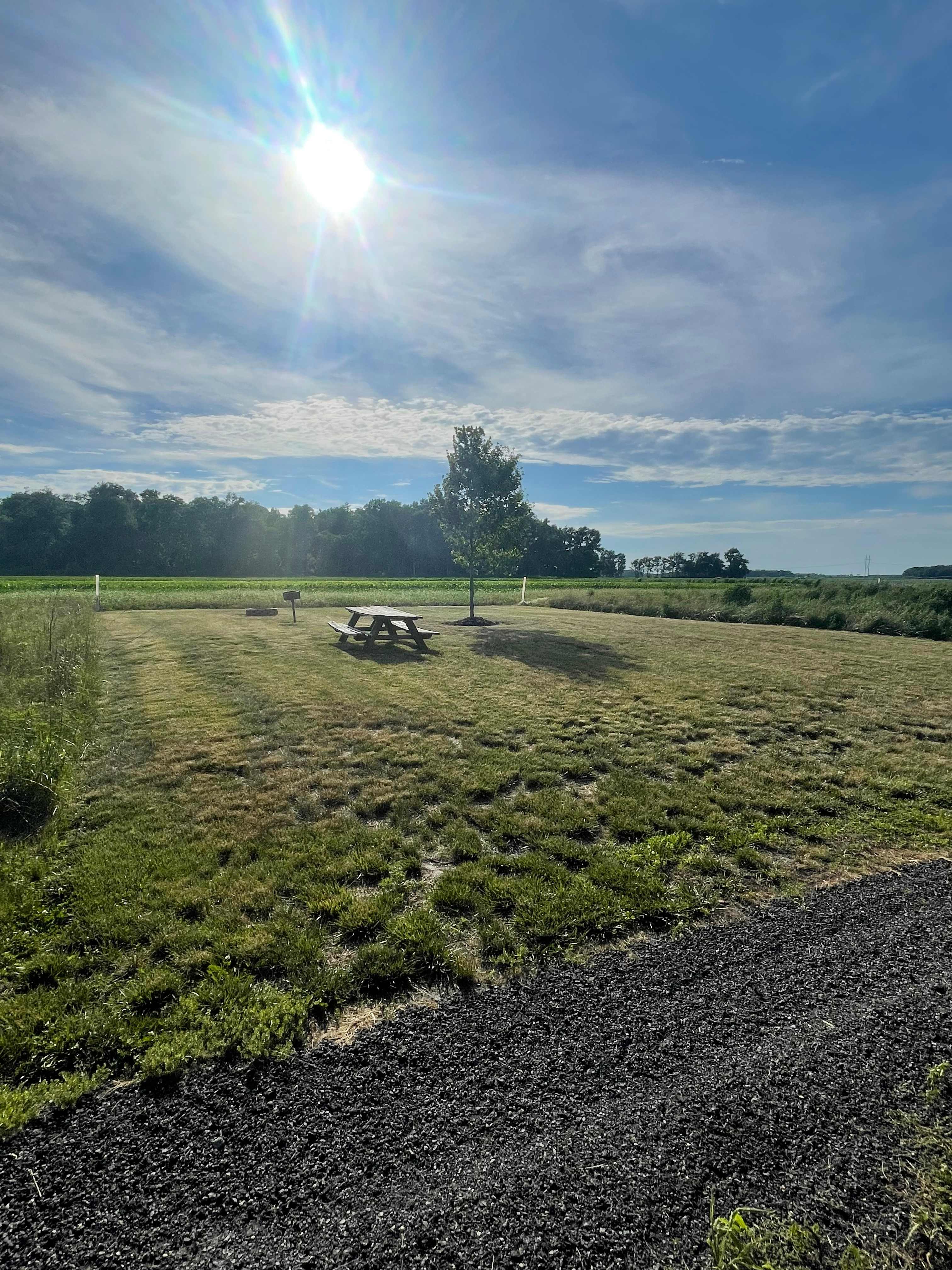 Kingsley Orchards, LLC