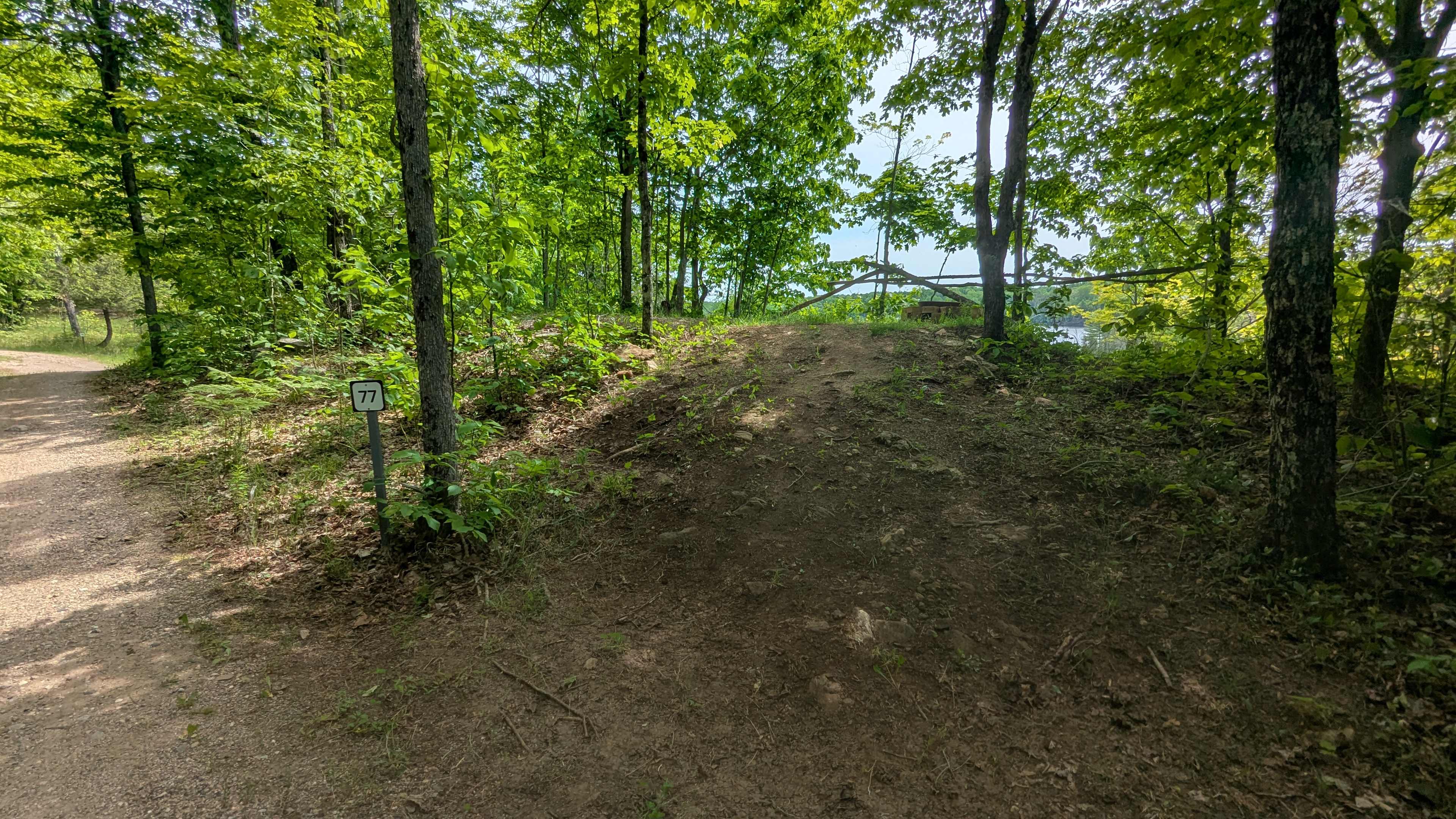 Picture of the site