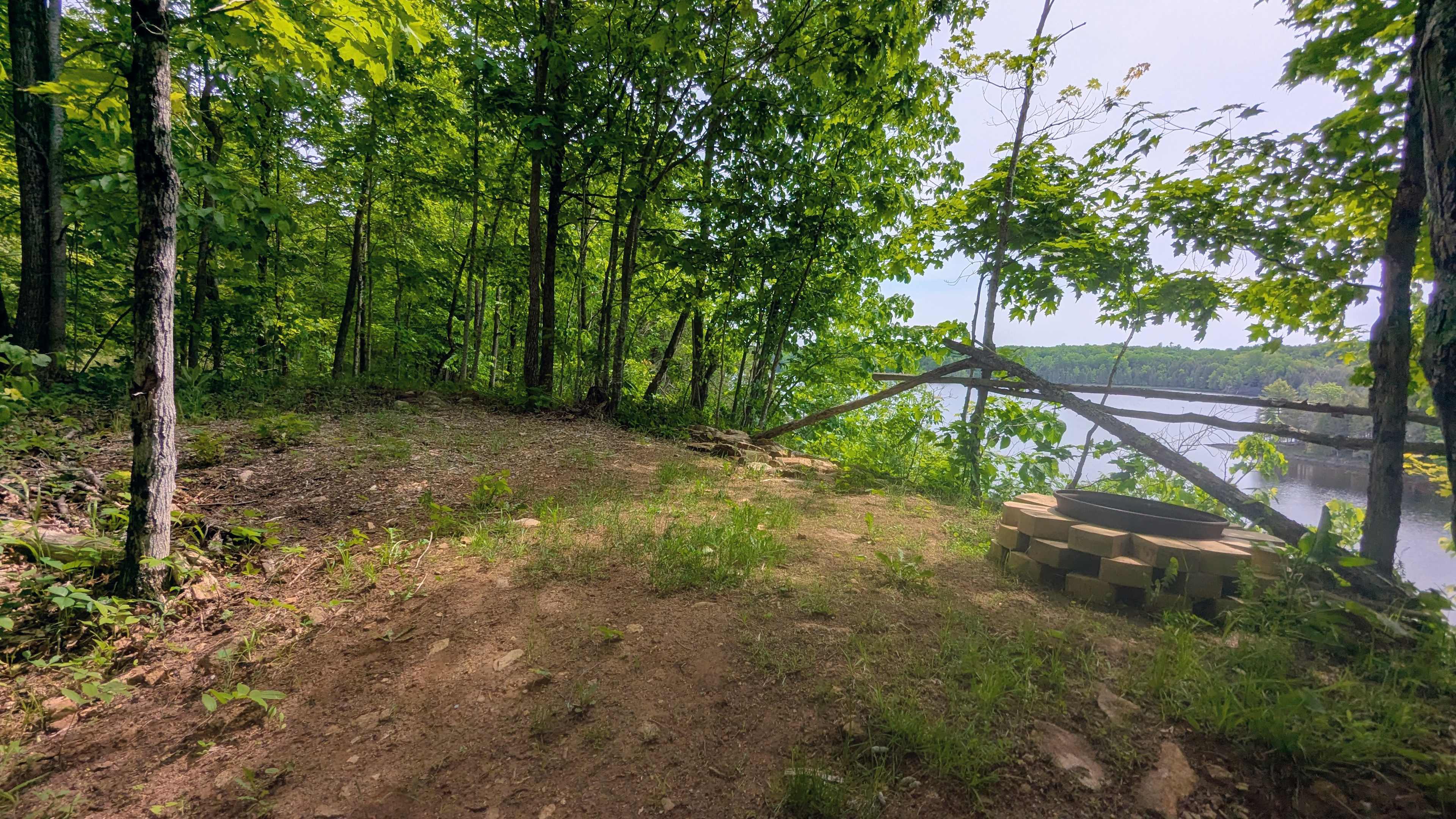 Picture of the site