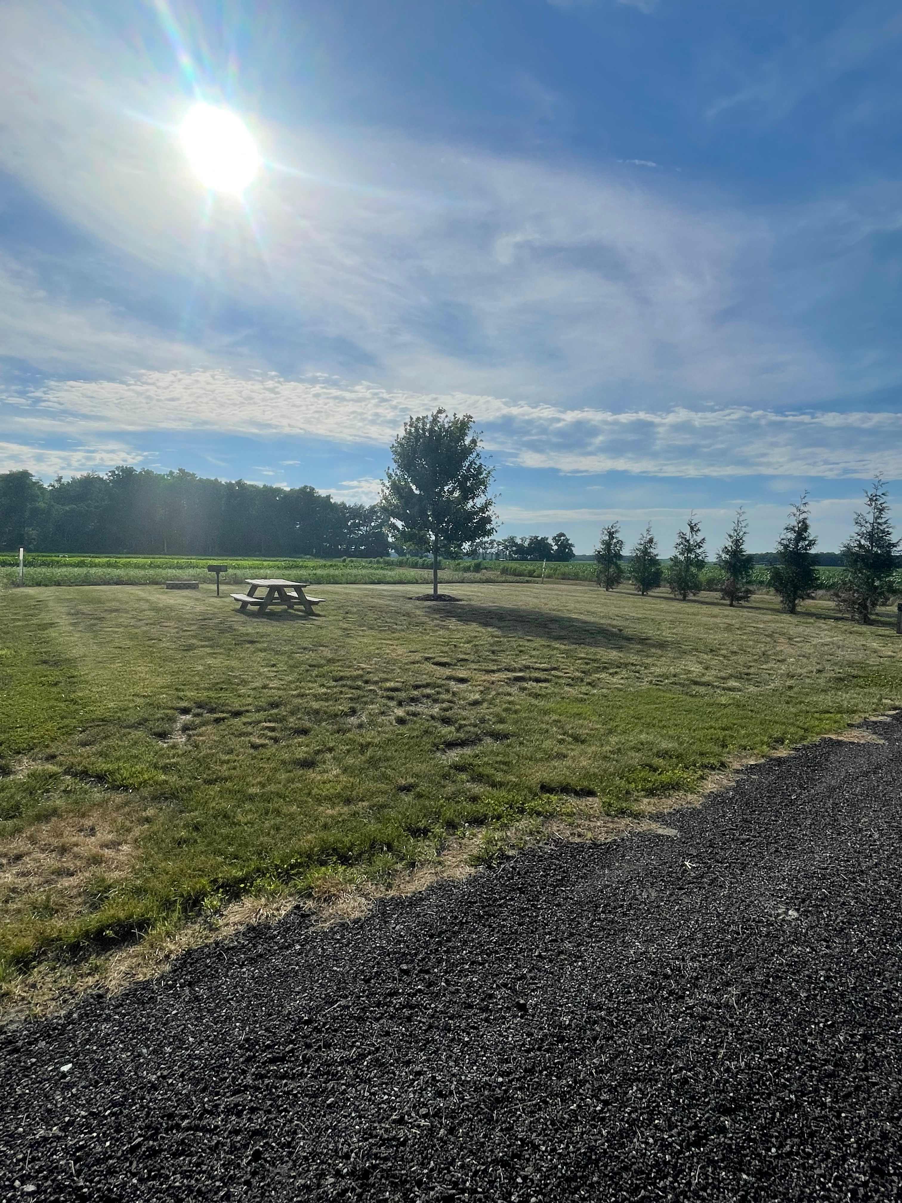 Picture of the site