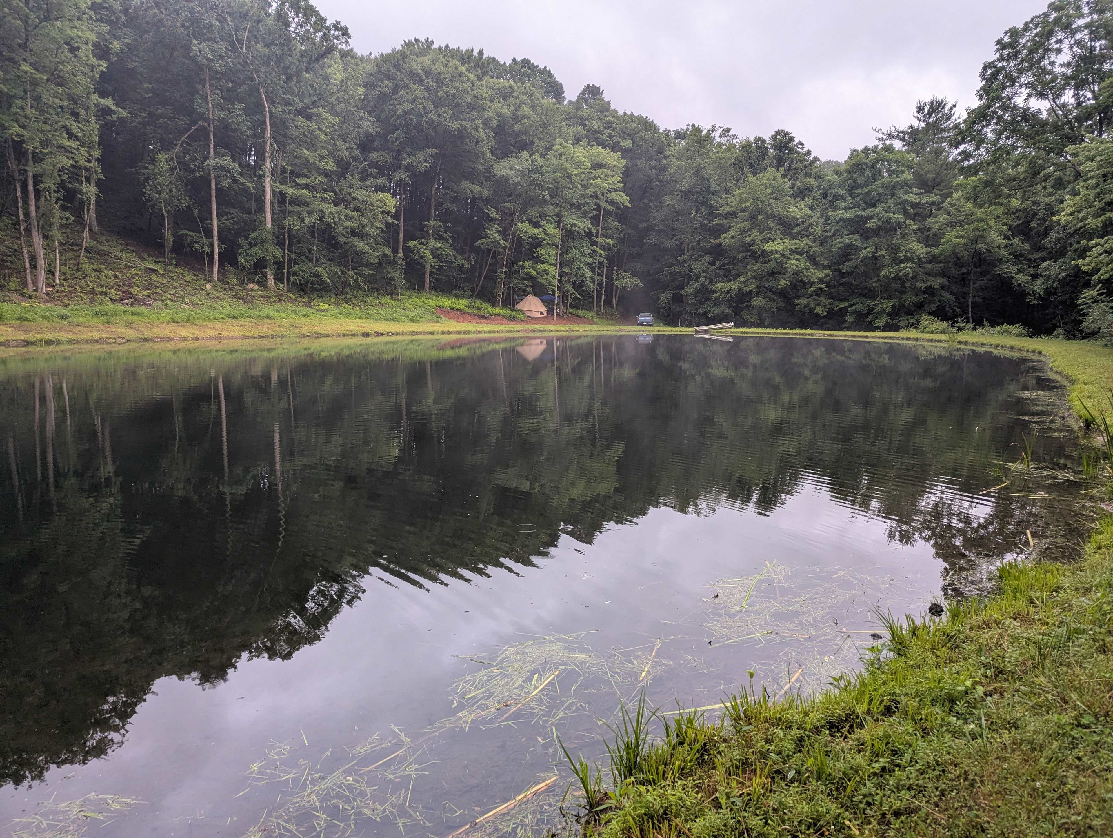 Misty Hollow