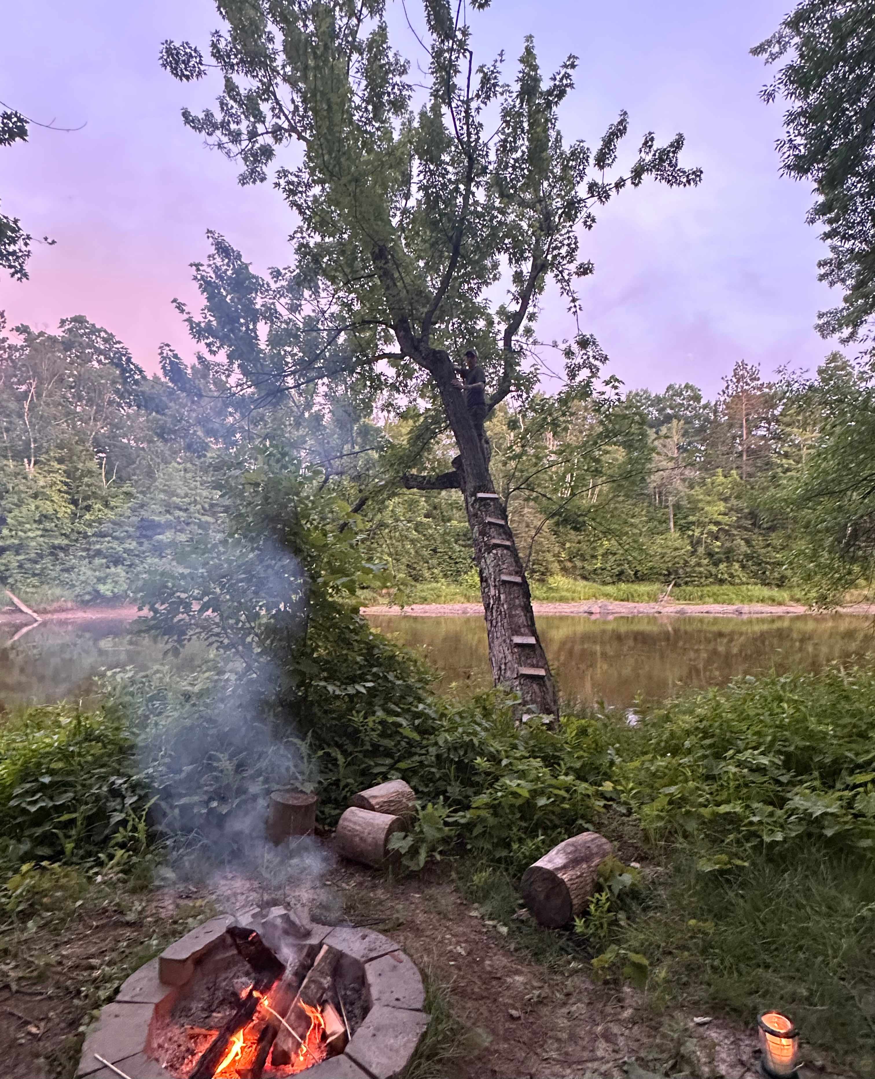 Campsite #1