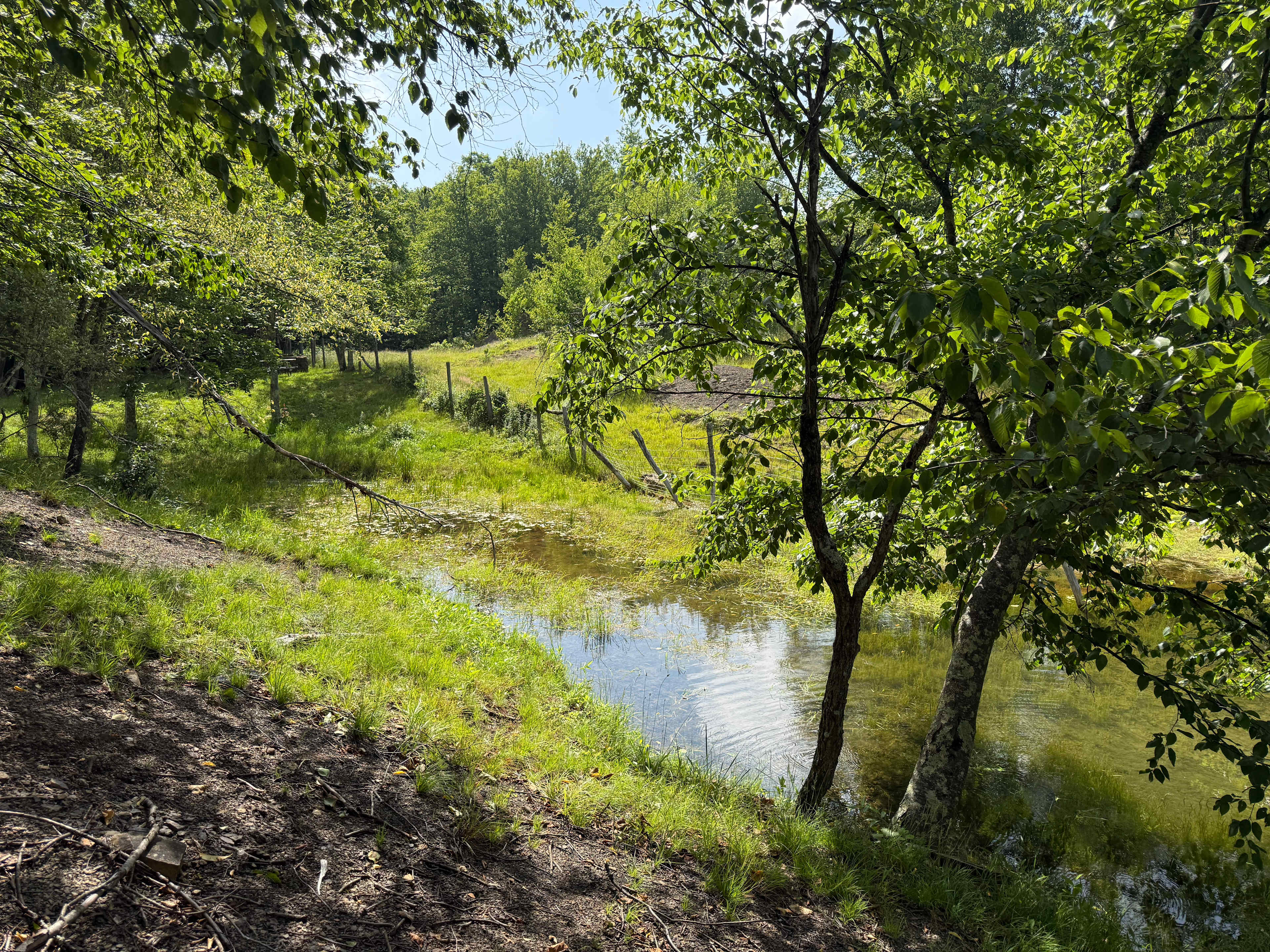 The Oasis at Bear Run Farms