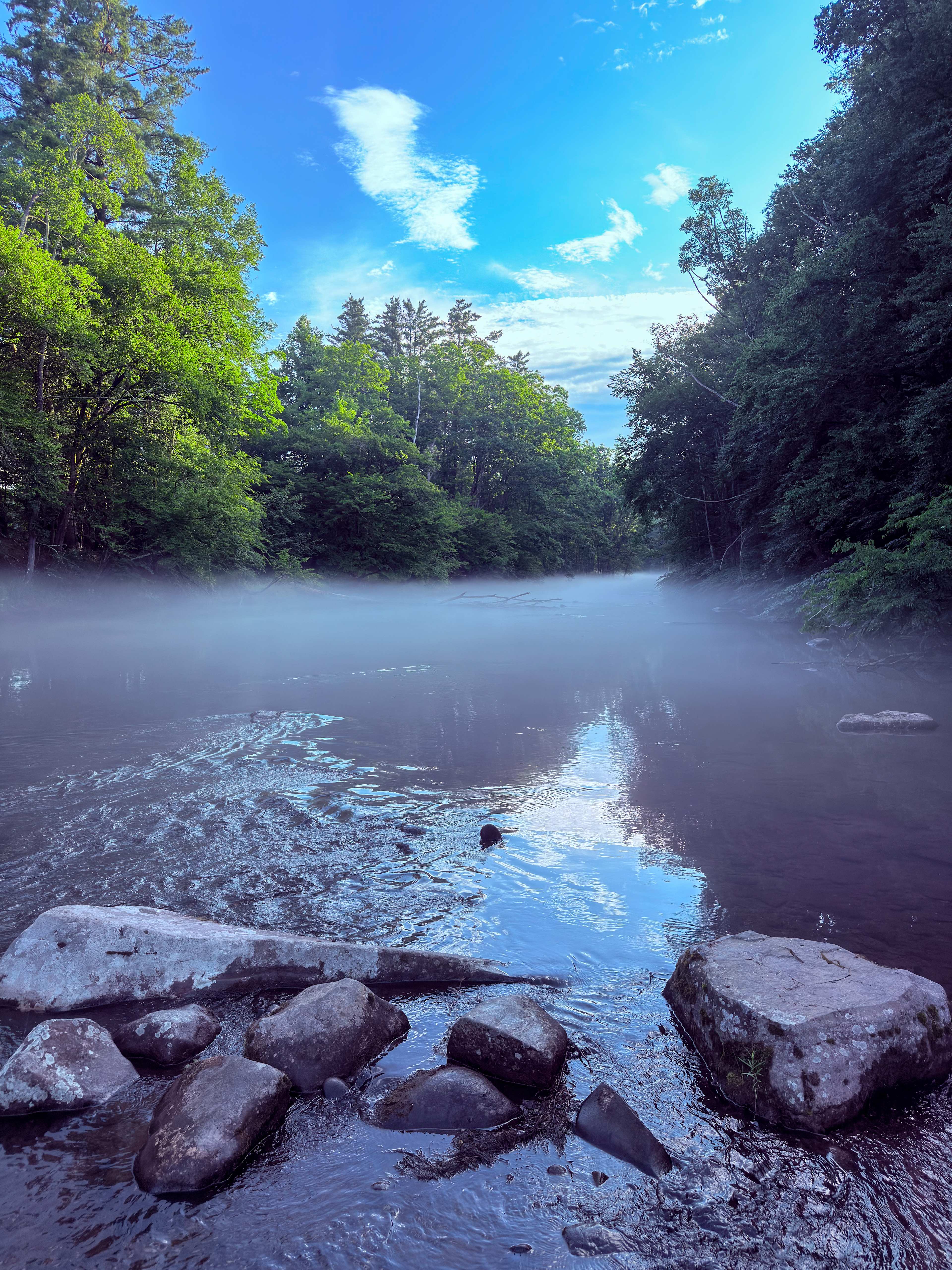 Neversink Sanctuary - Private Camp