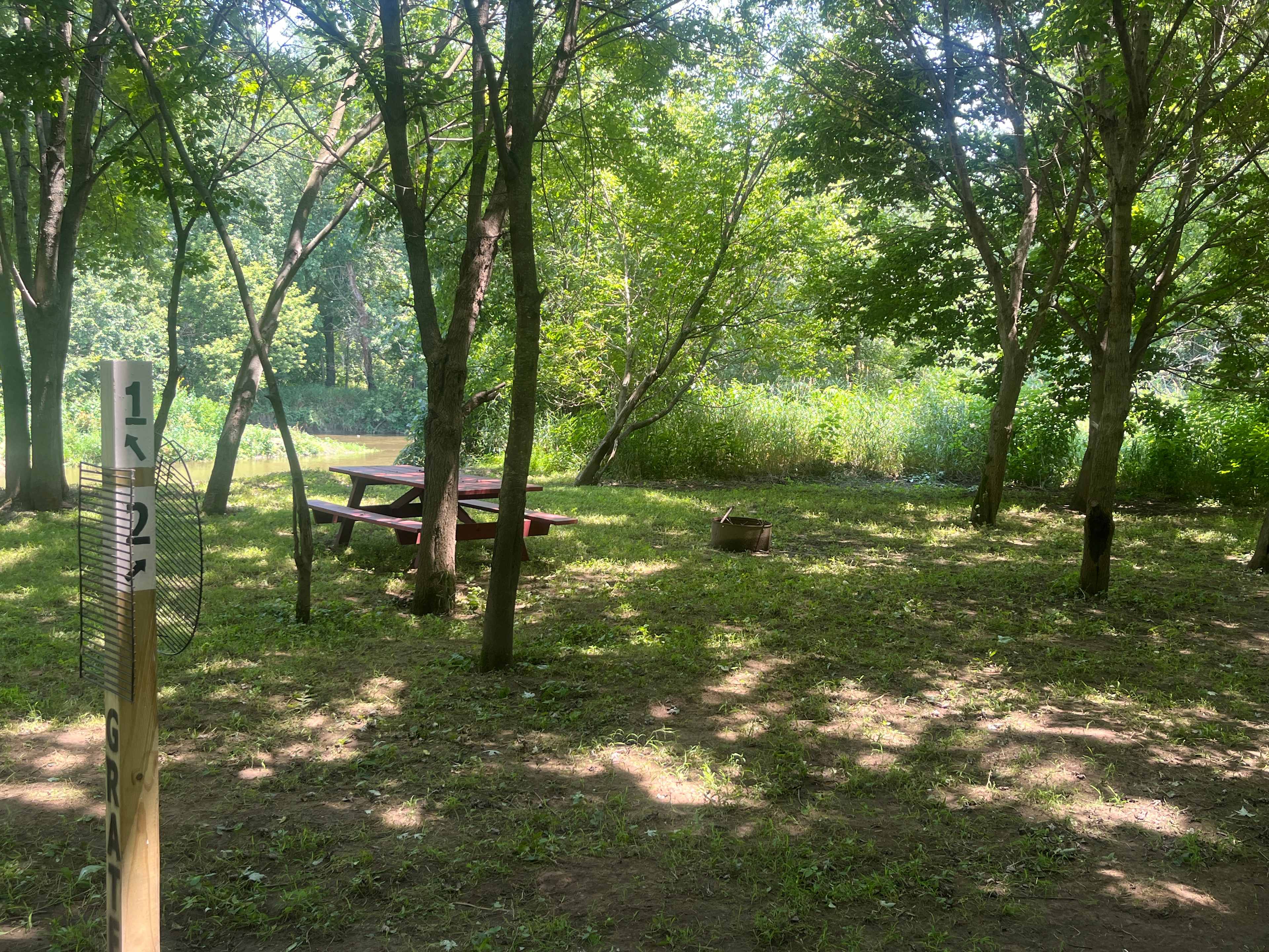 Picture of the site