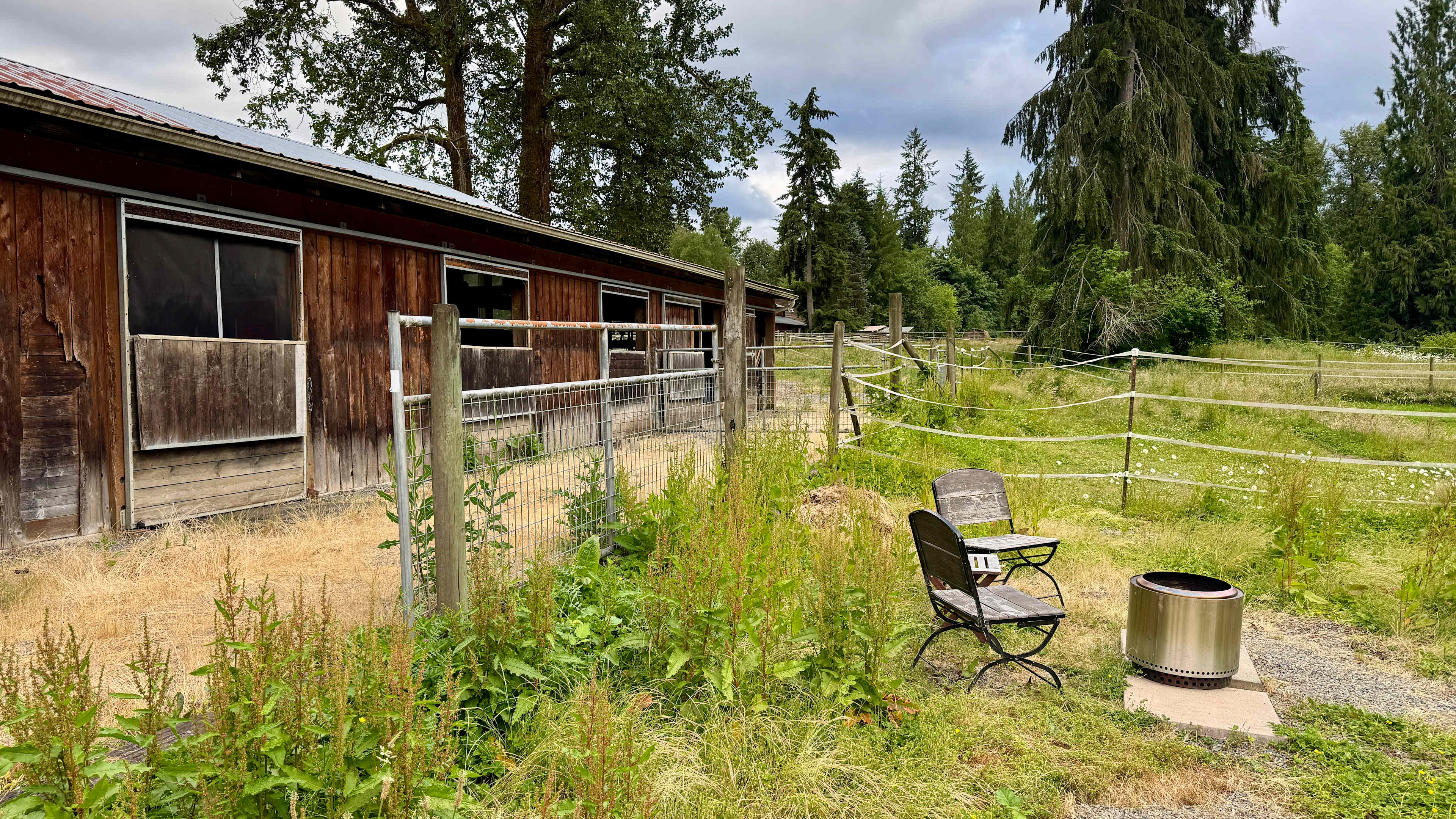 Backyard