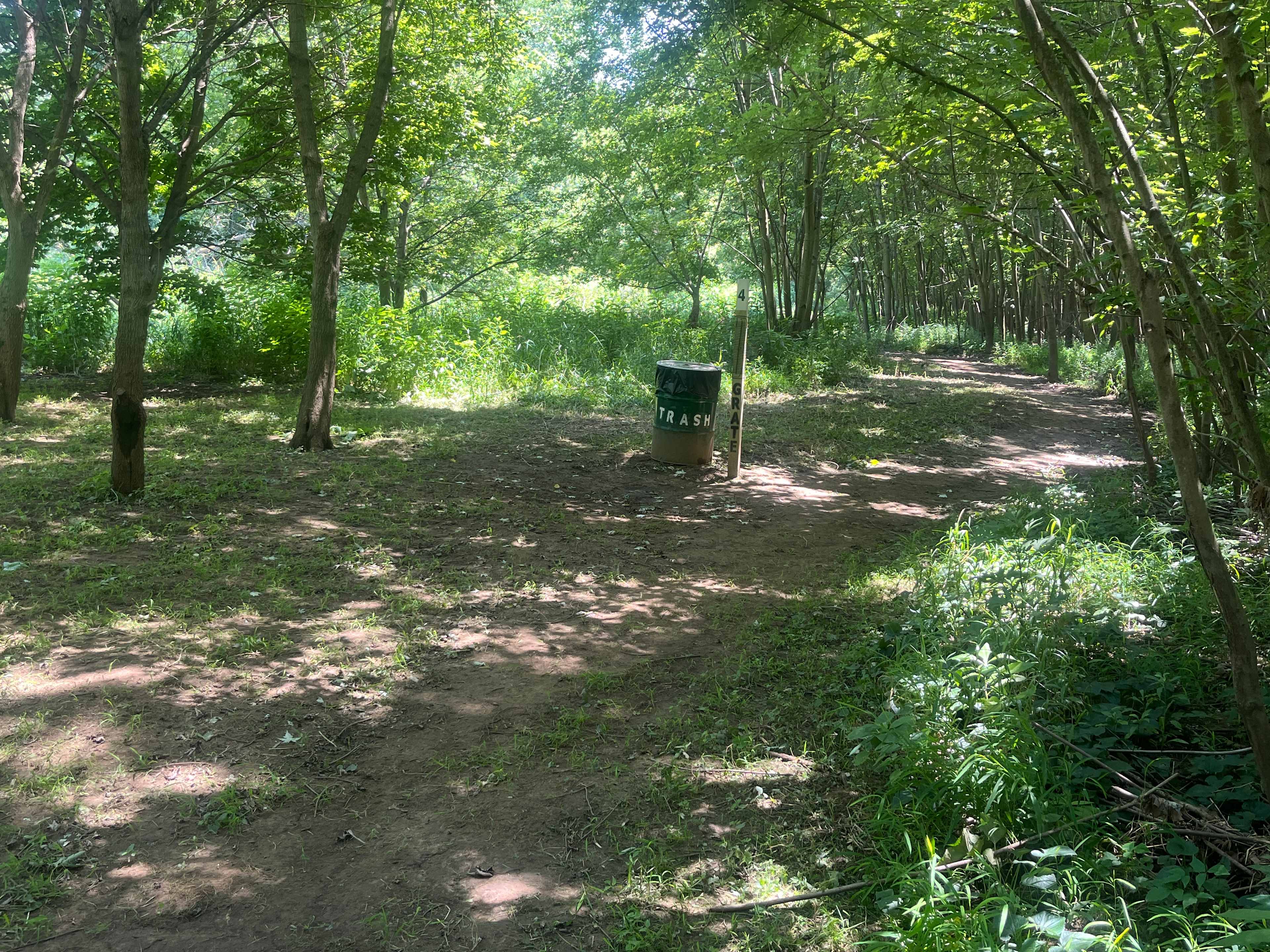 Picture of the site
