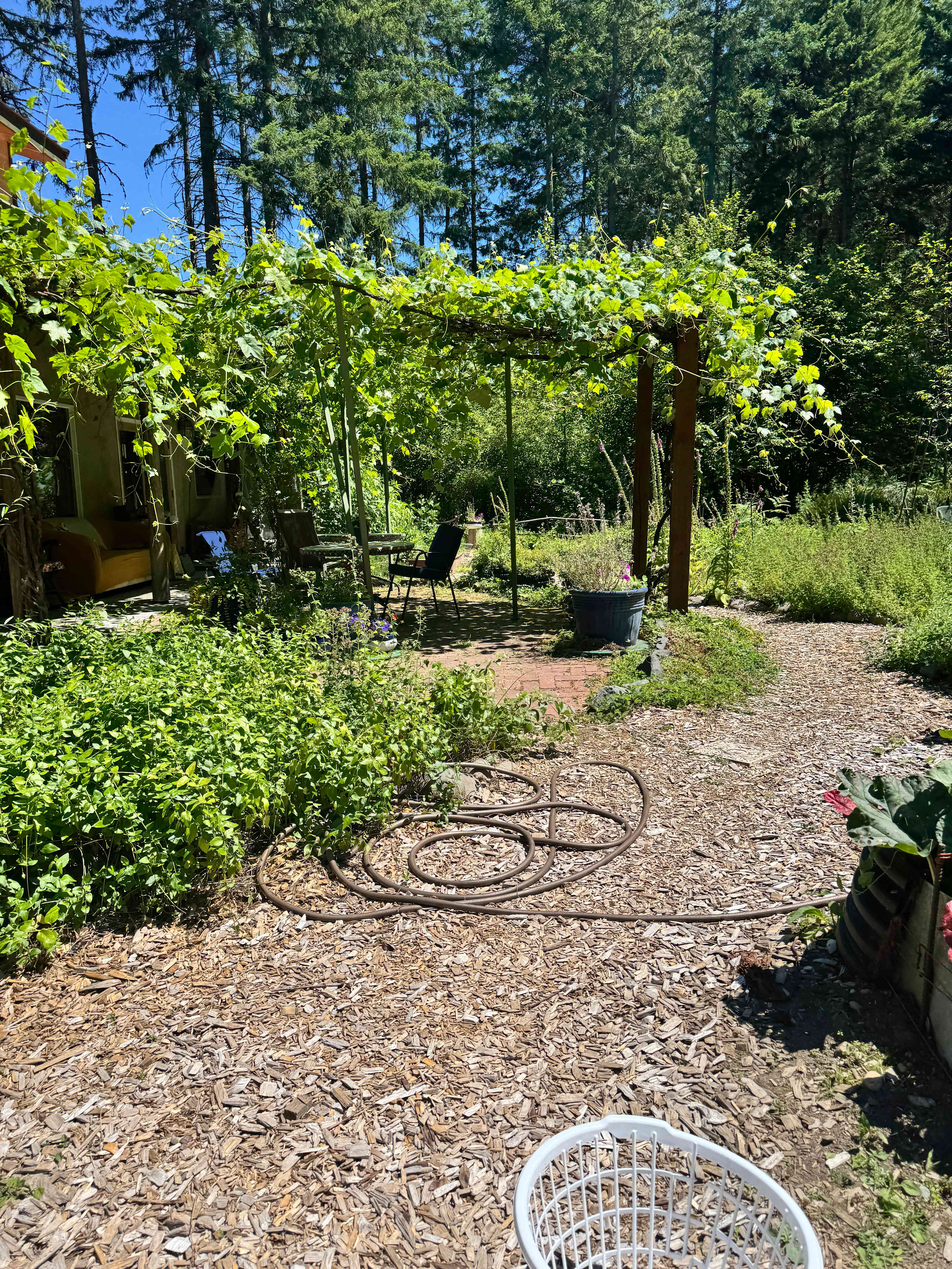 communal garden fire pit area