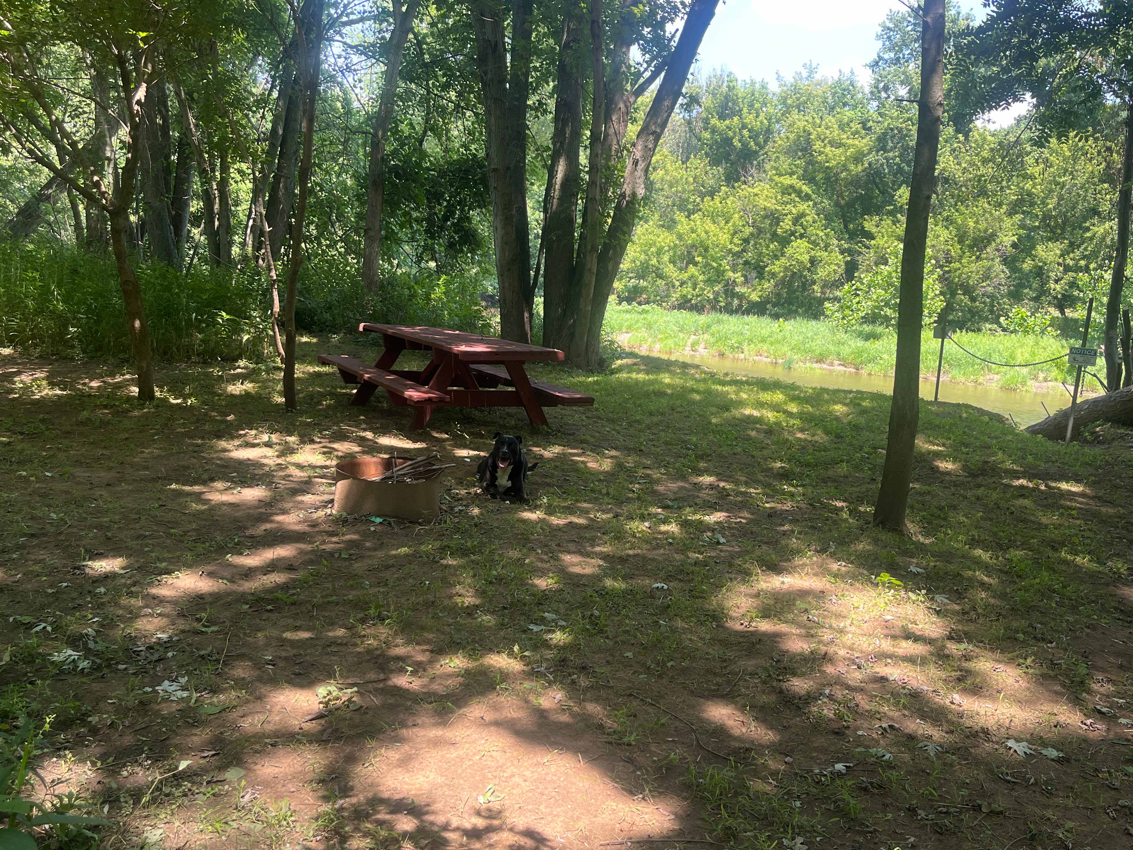 Picture of the site