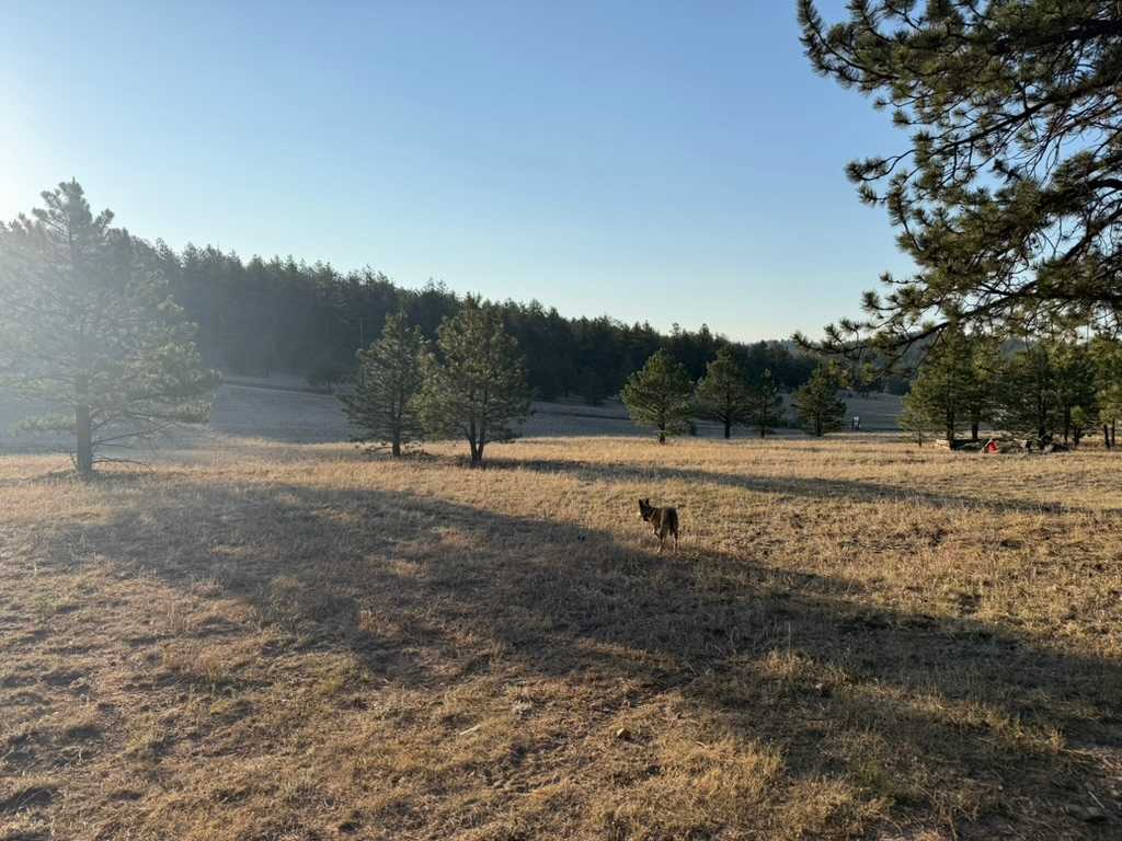 M Lazy C Ranch