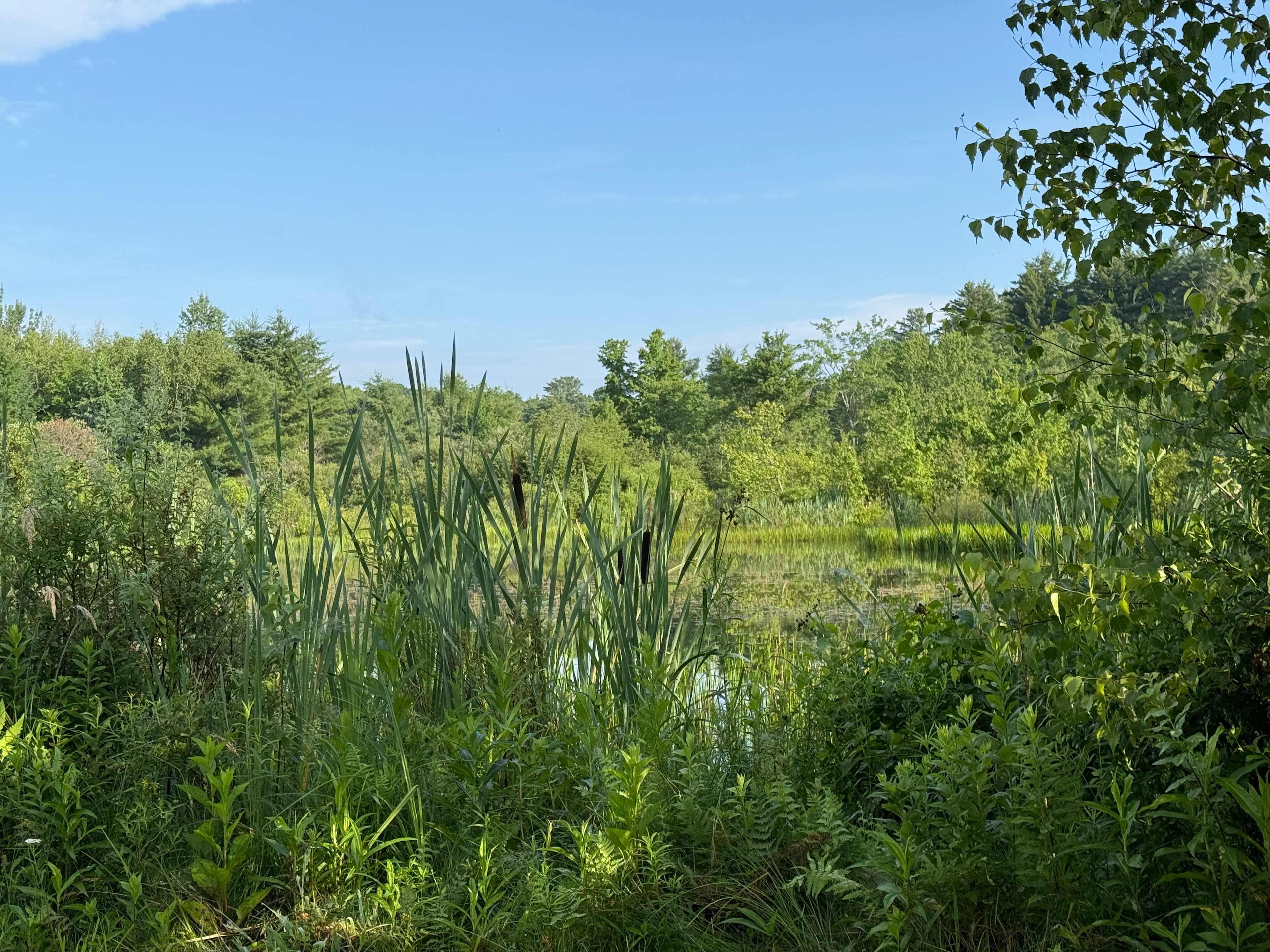 Wyomanock Farm