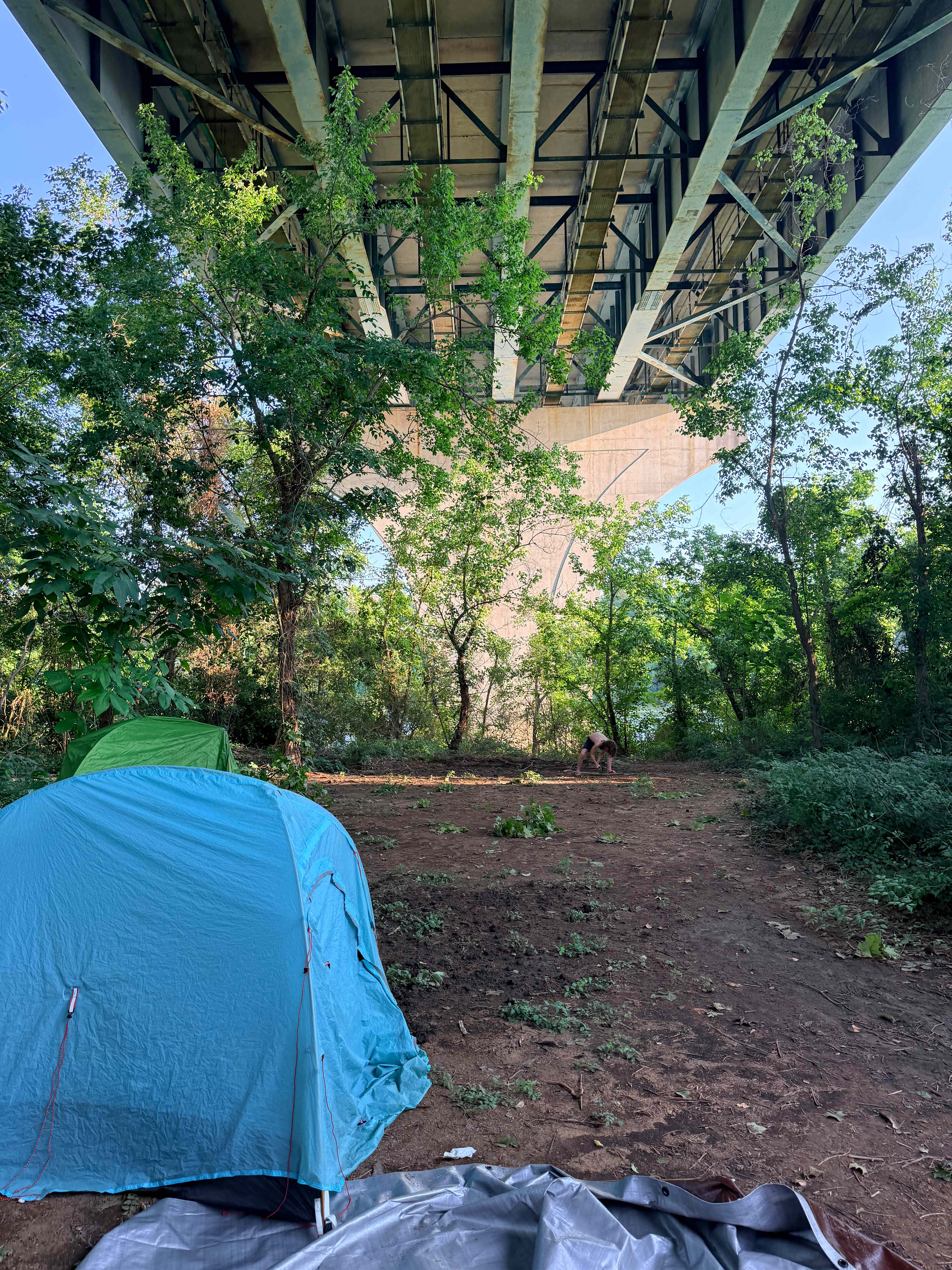 Maclellan Island- An Urban Oasis
