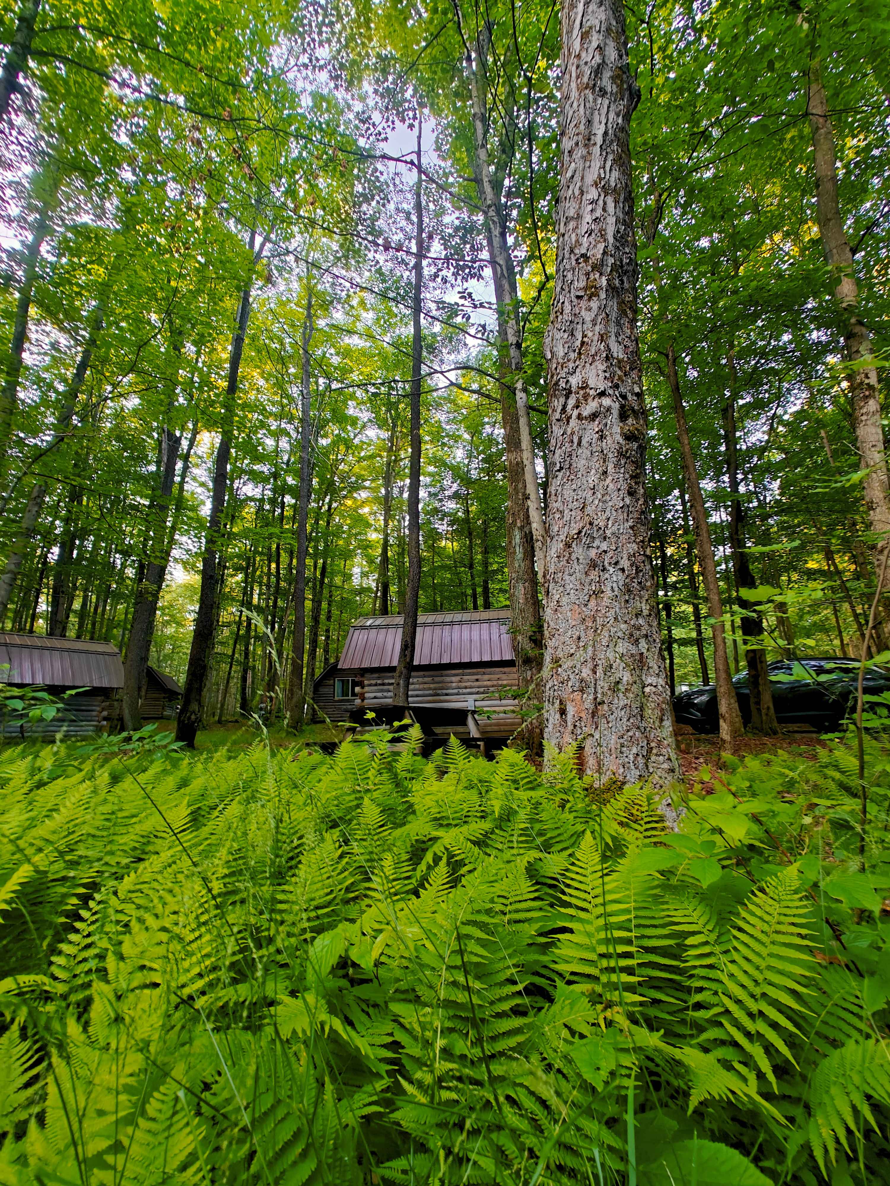 Cozy Embers Campground & Cabins