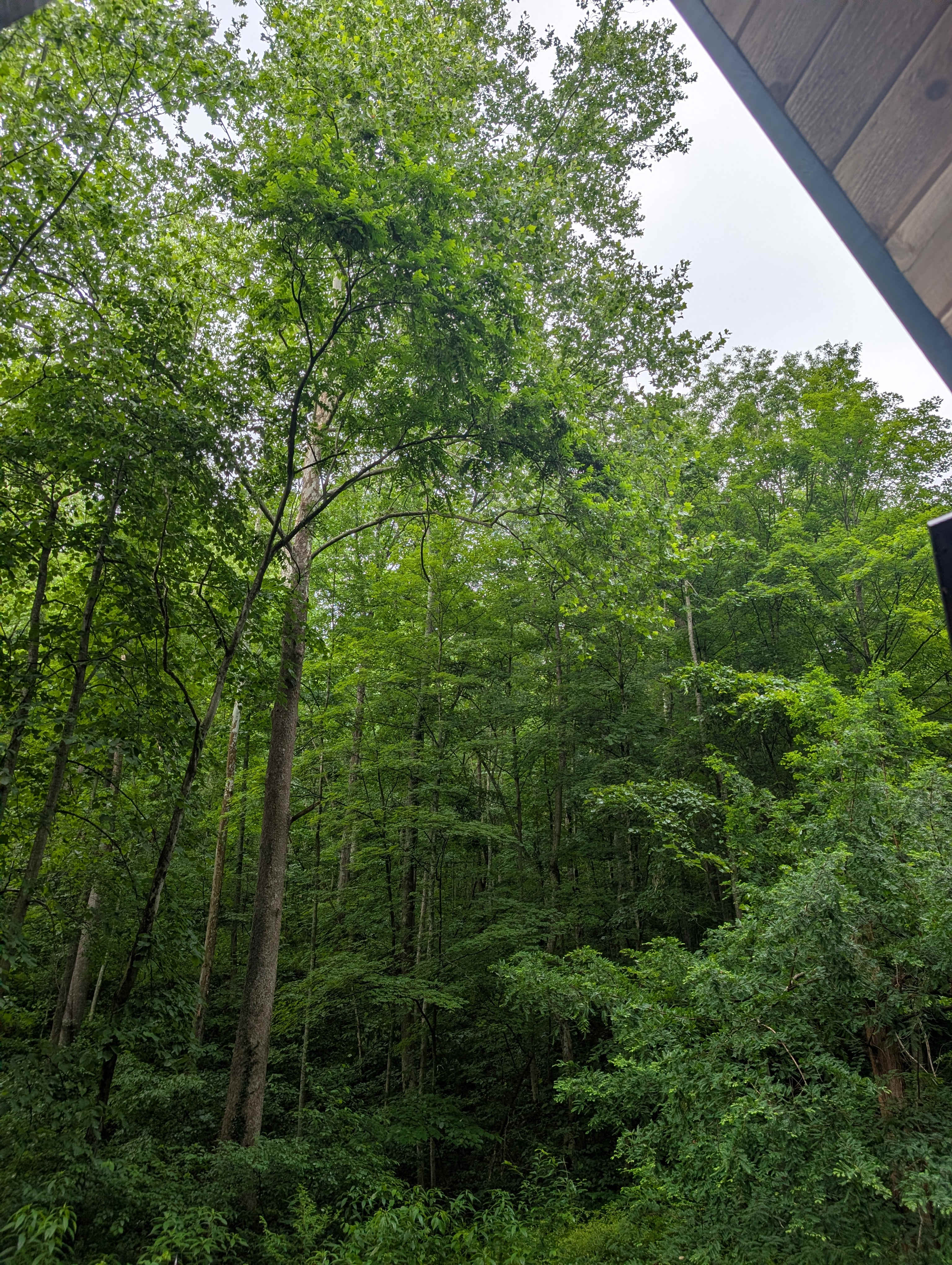 Appalachian Retreat Camp