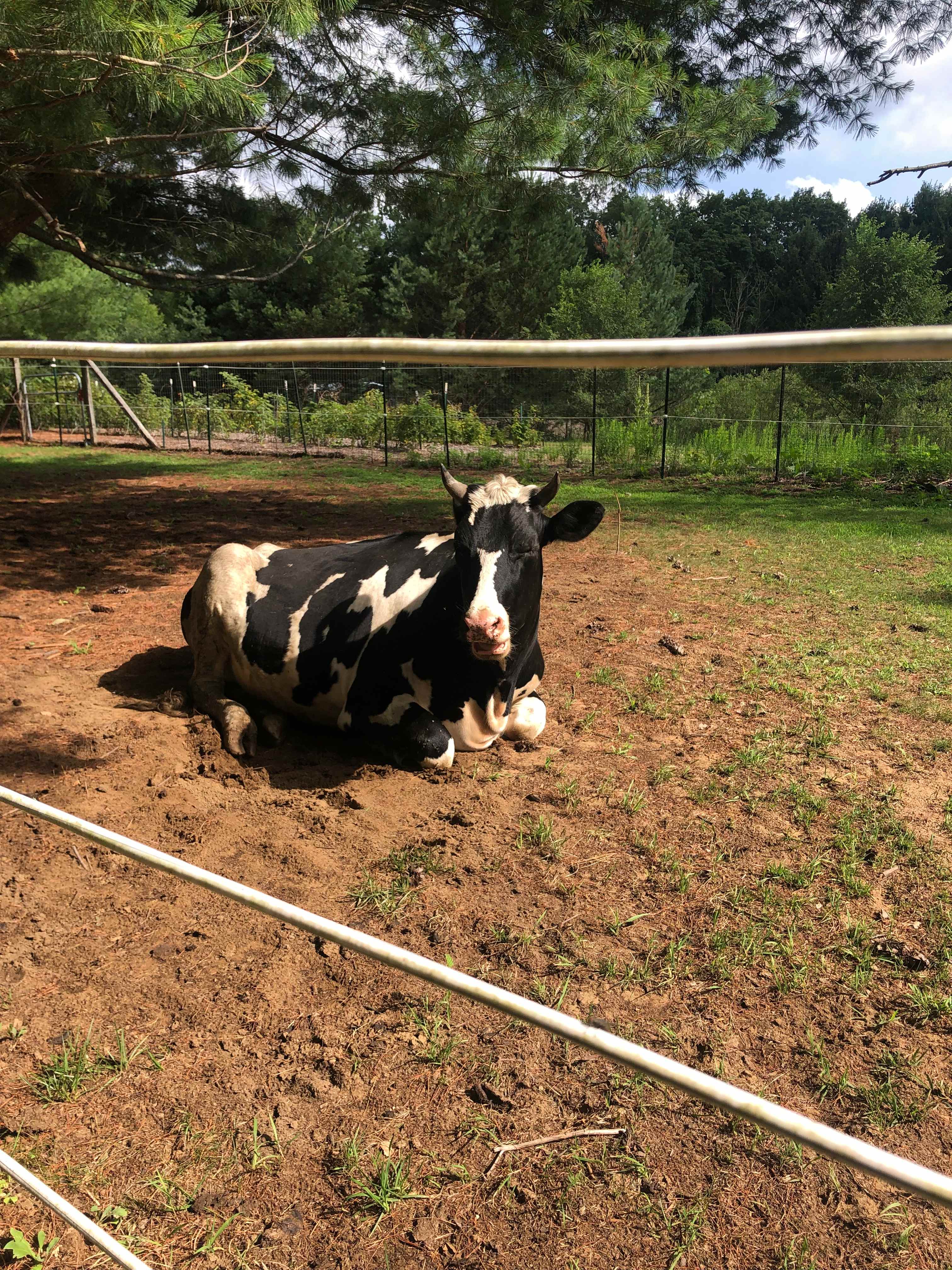 Farley’s Farm Sanctuary
