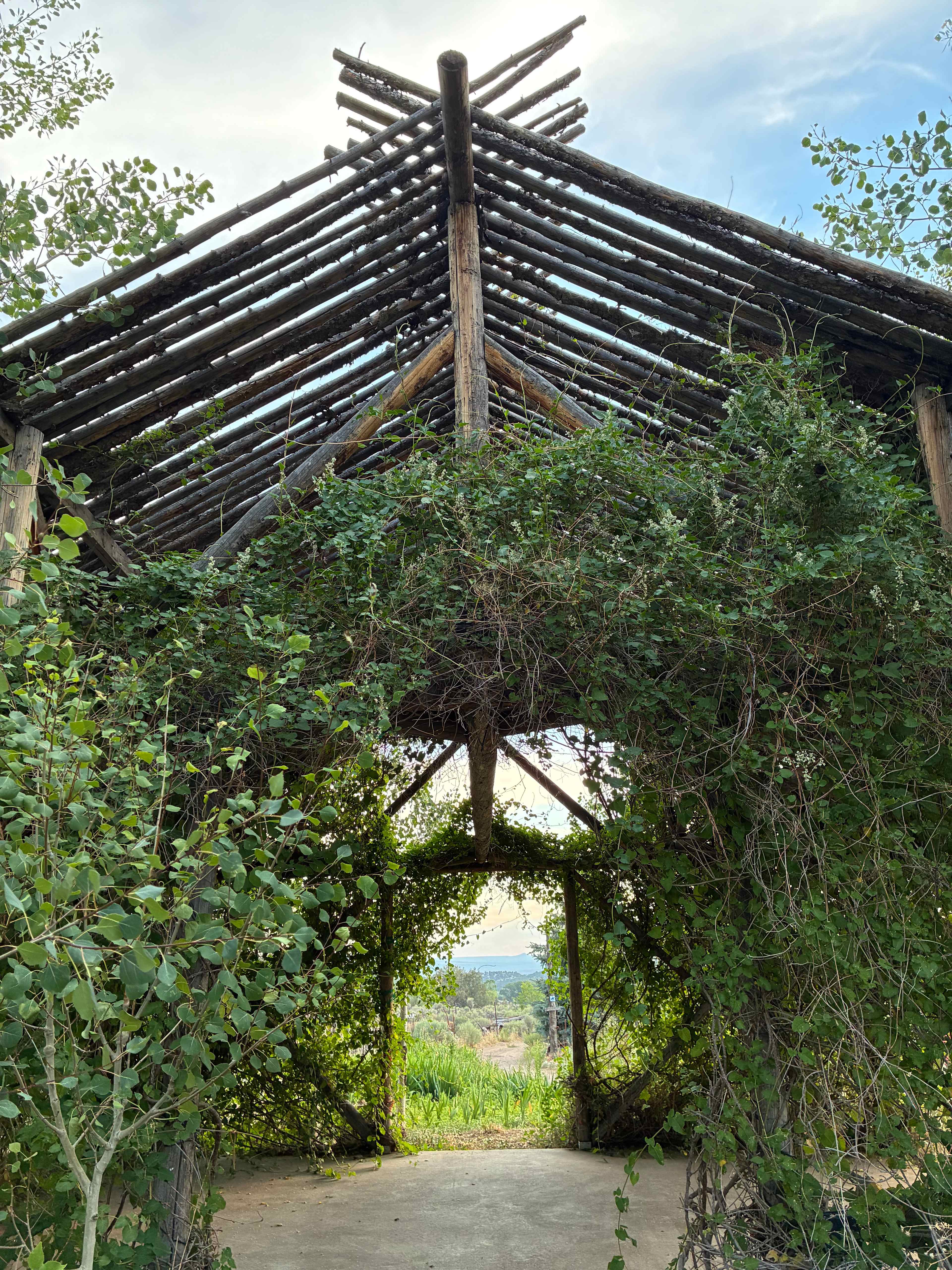 Taos Goji Farm & Eco Lodge