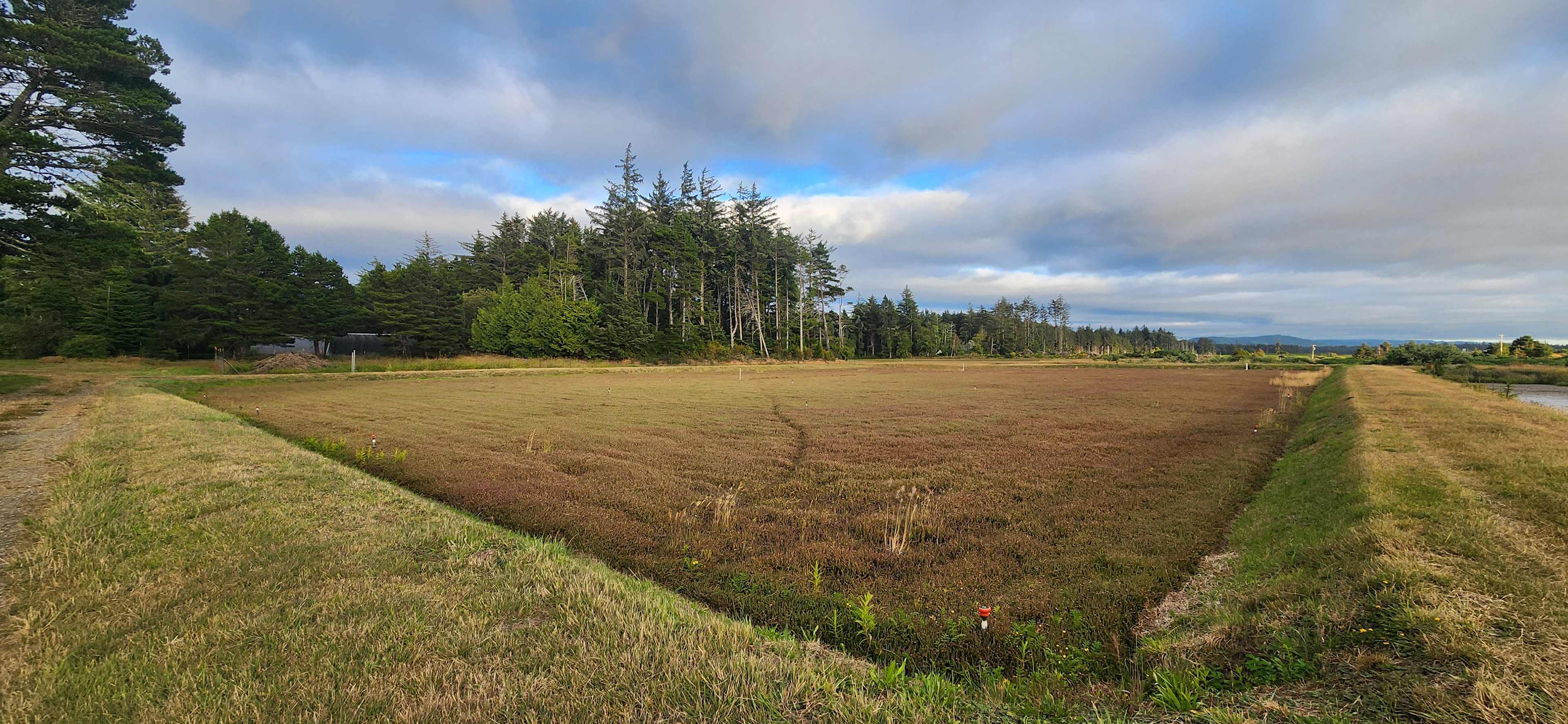 gorgeous fields