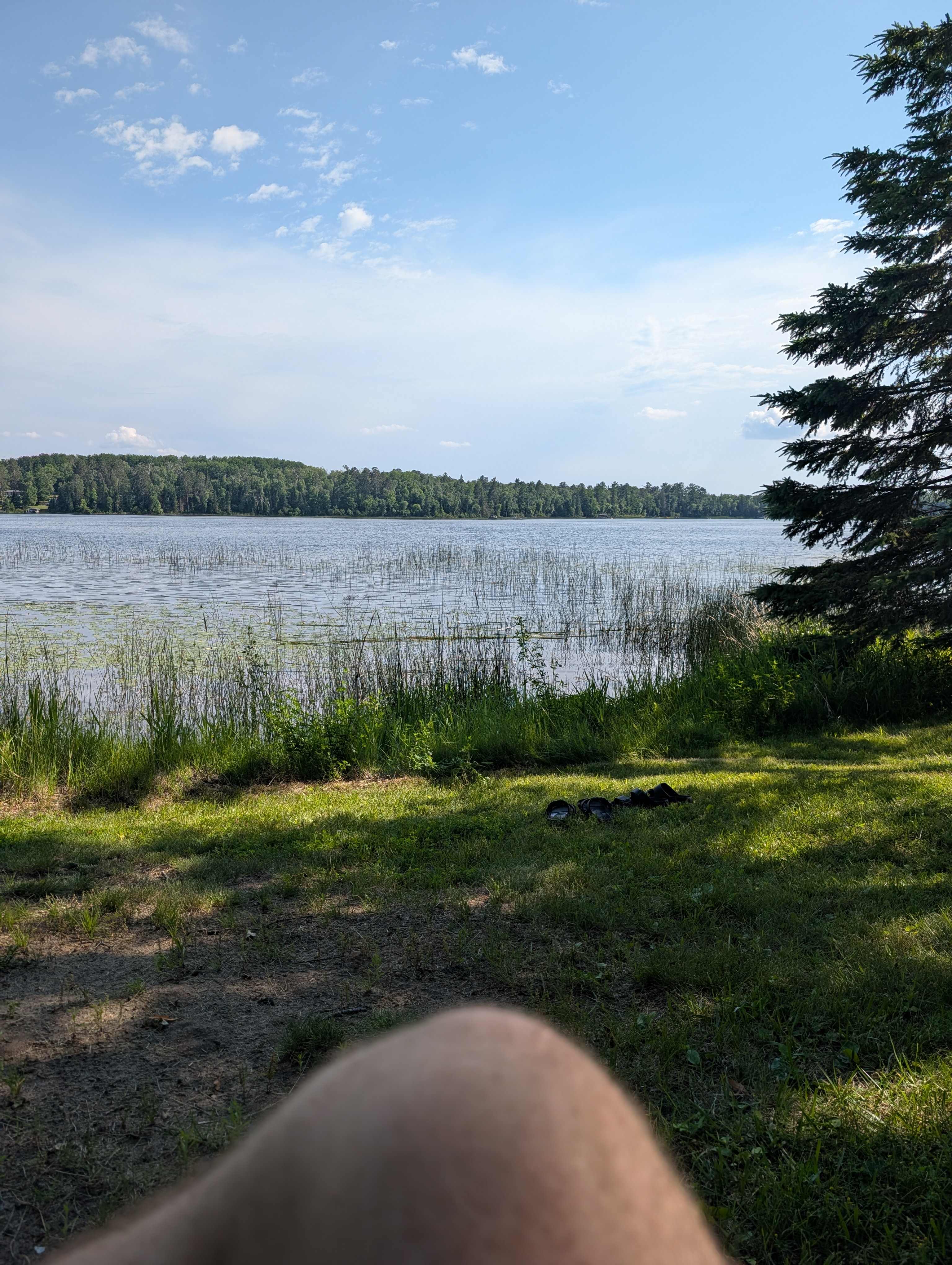 Safe And Sound In Nevis, MN