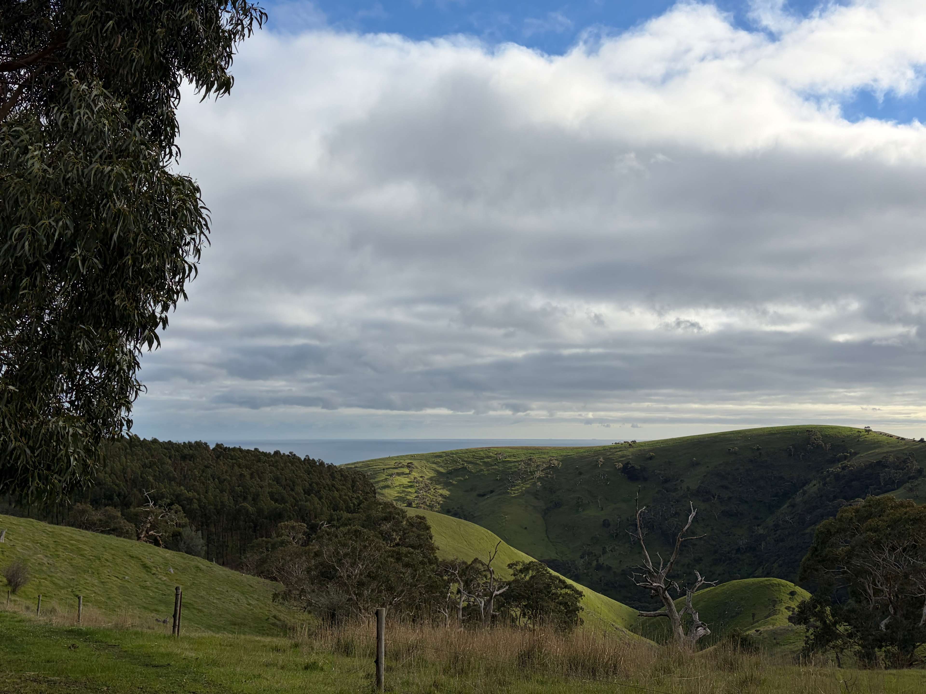 view from one of the walks