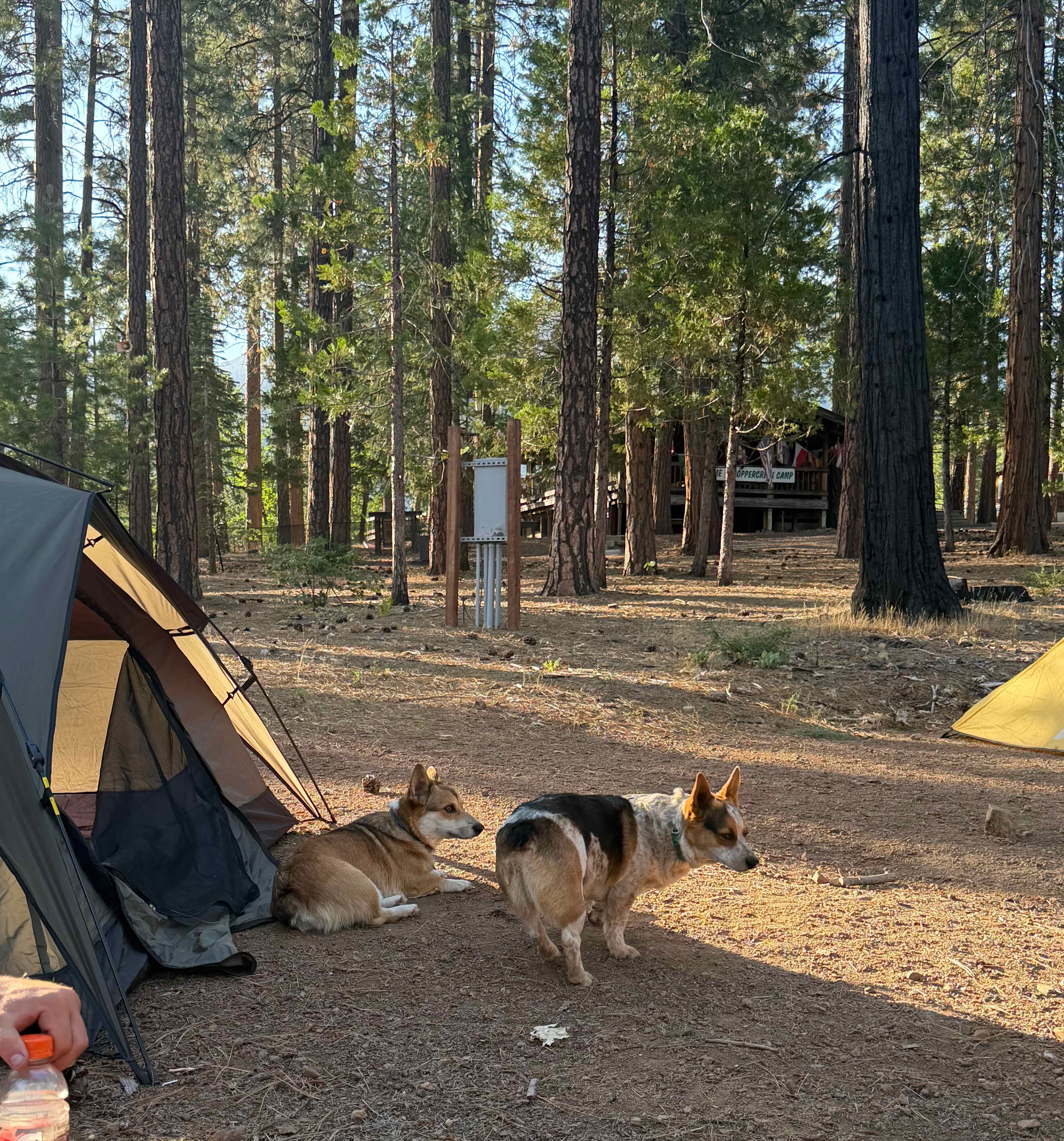 Coppercreek Camp