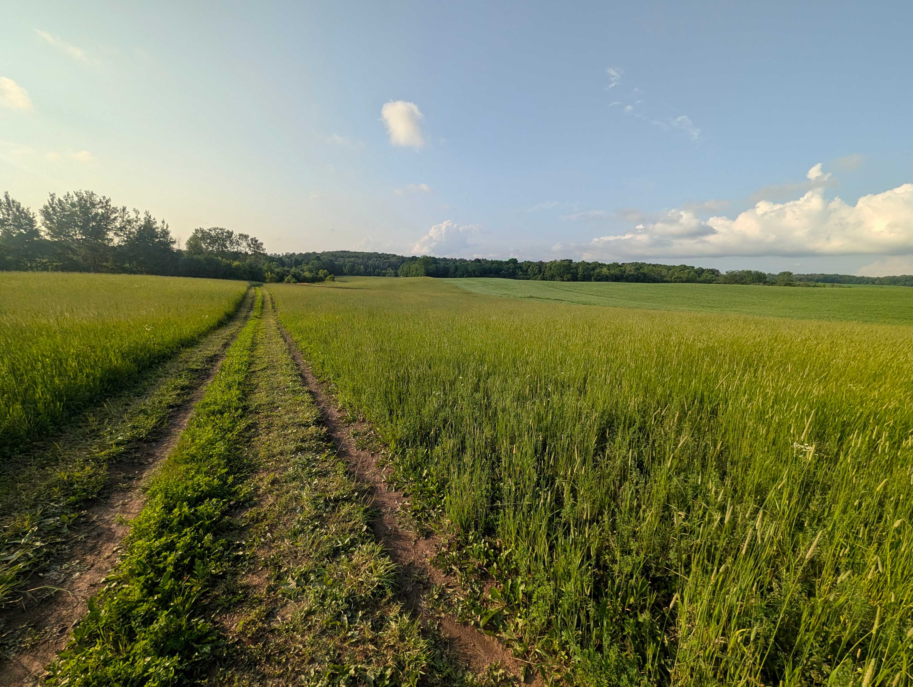The drive in to the site