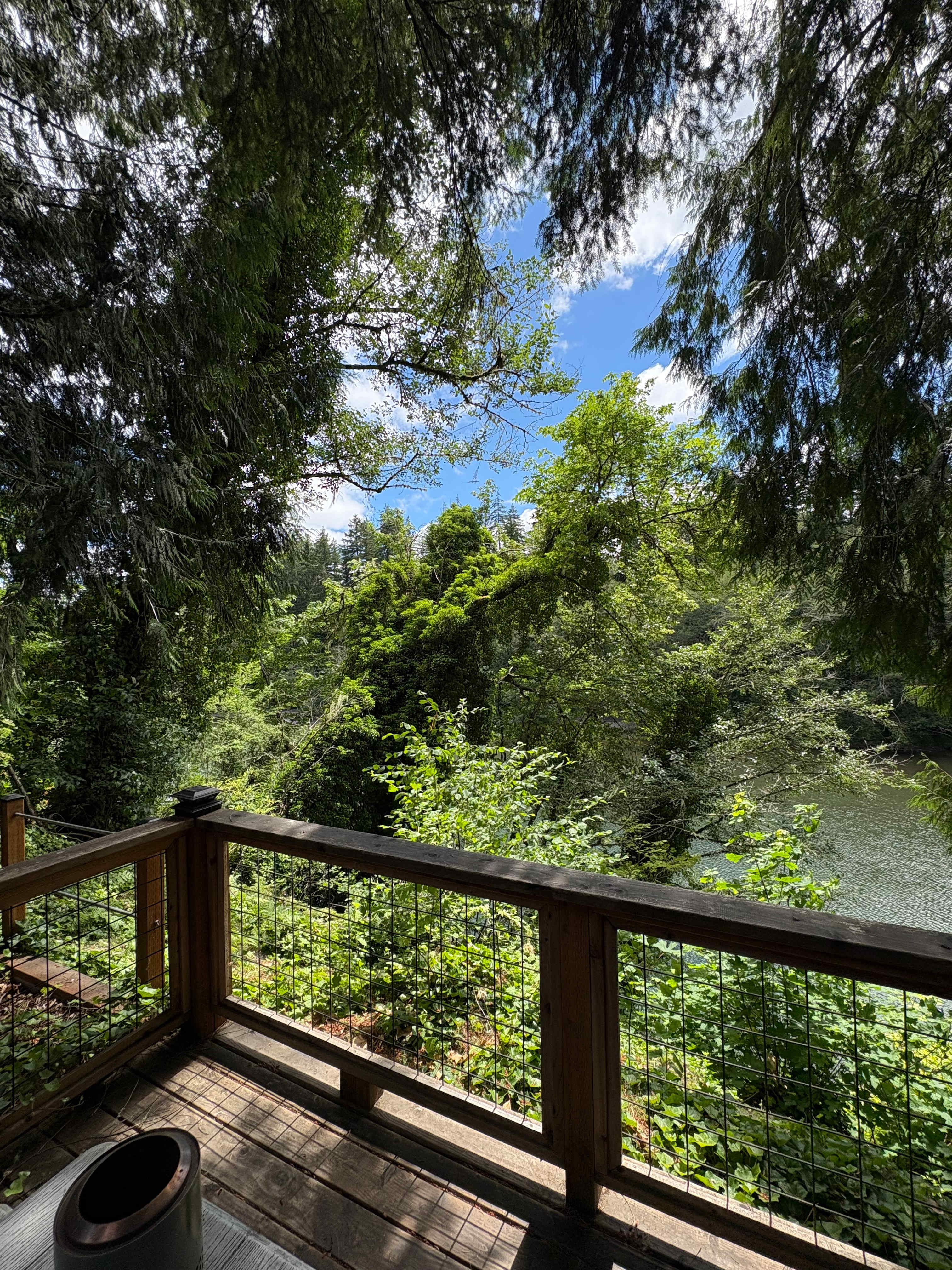 View from the deck