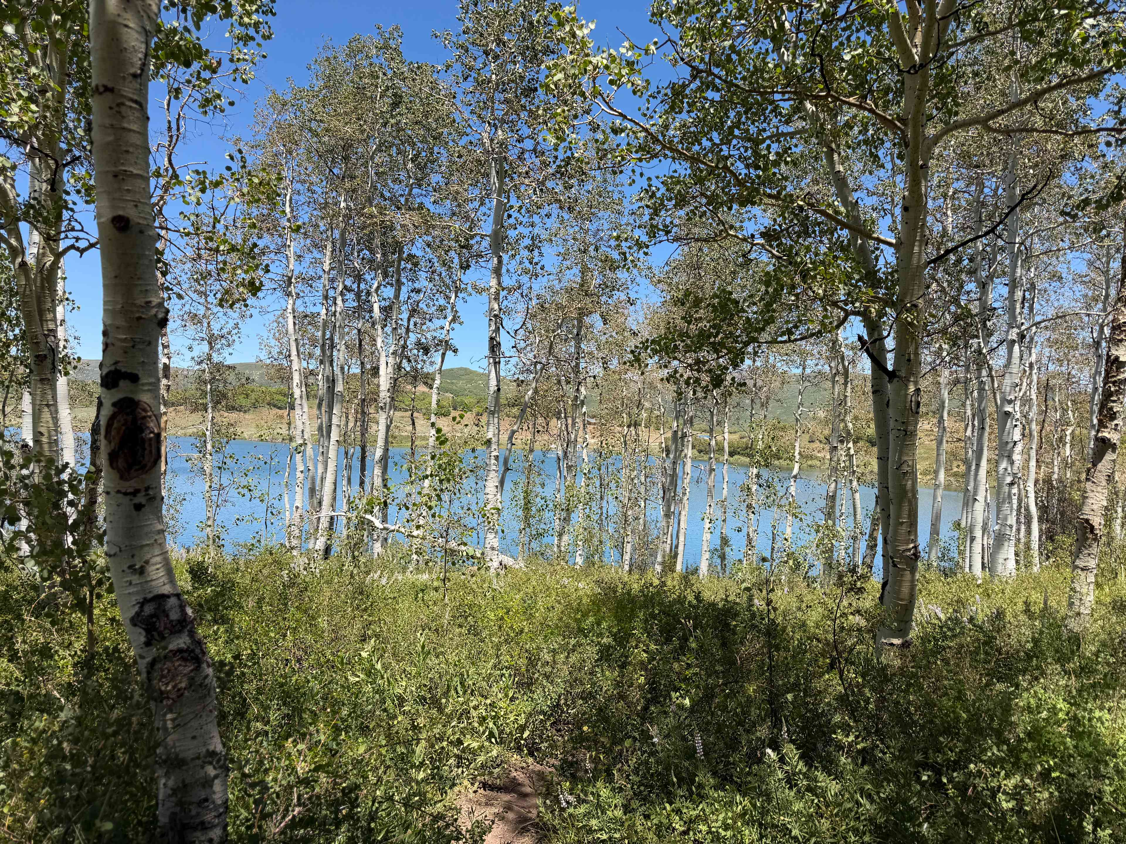 Kolob Campground