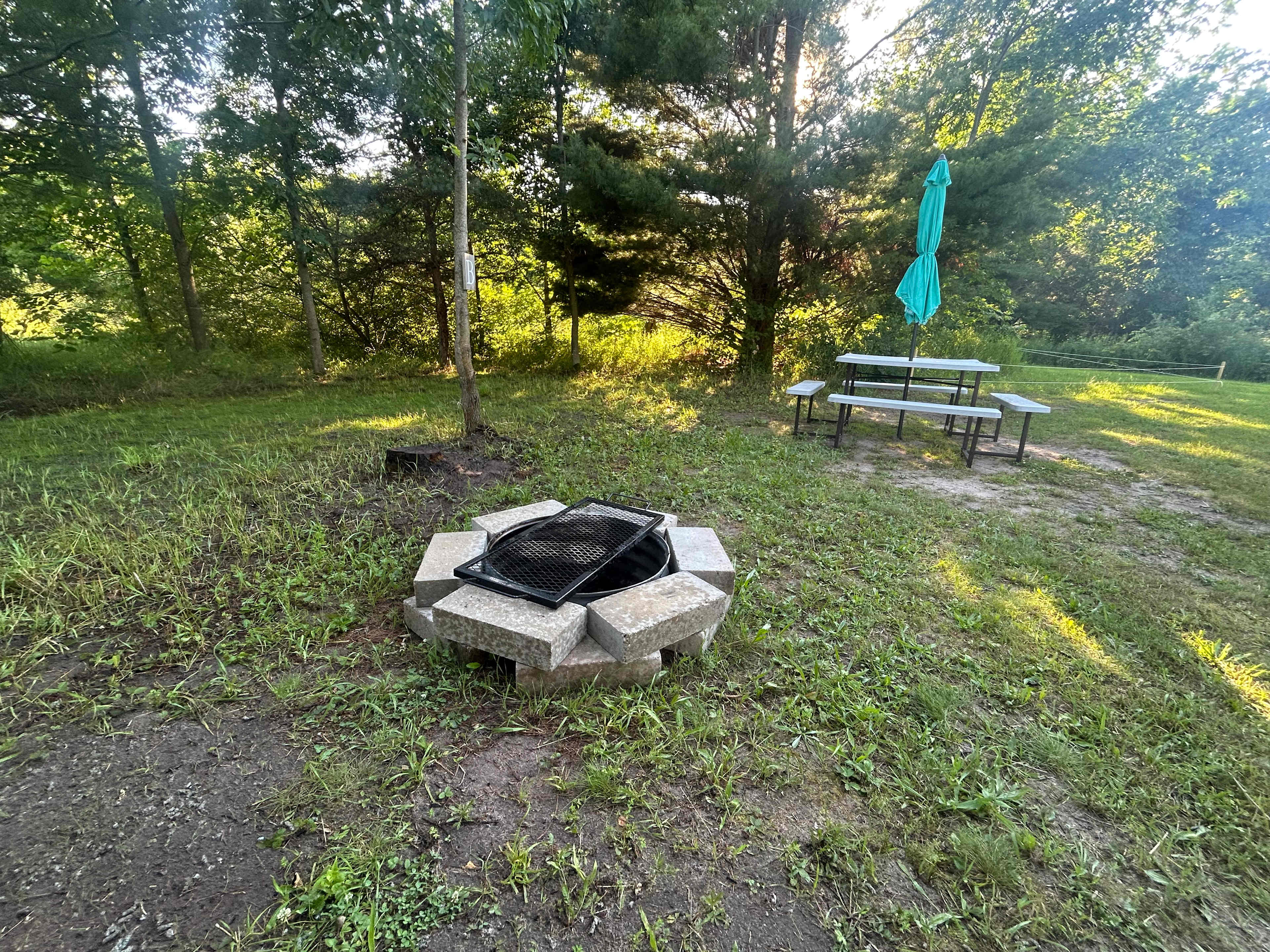 Picture of the site