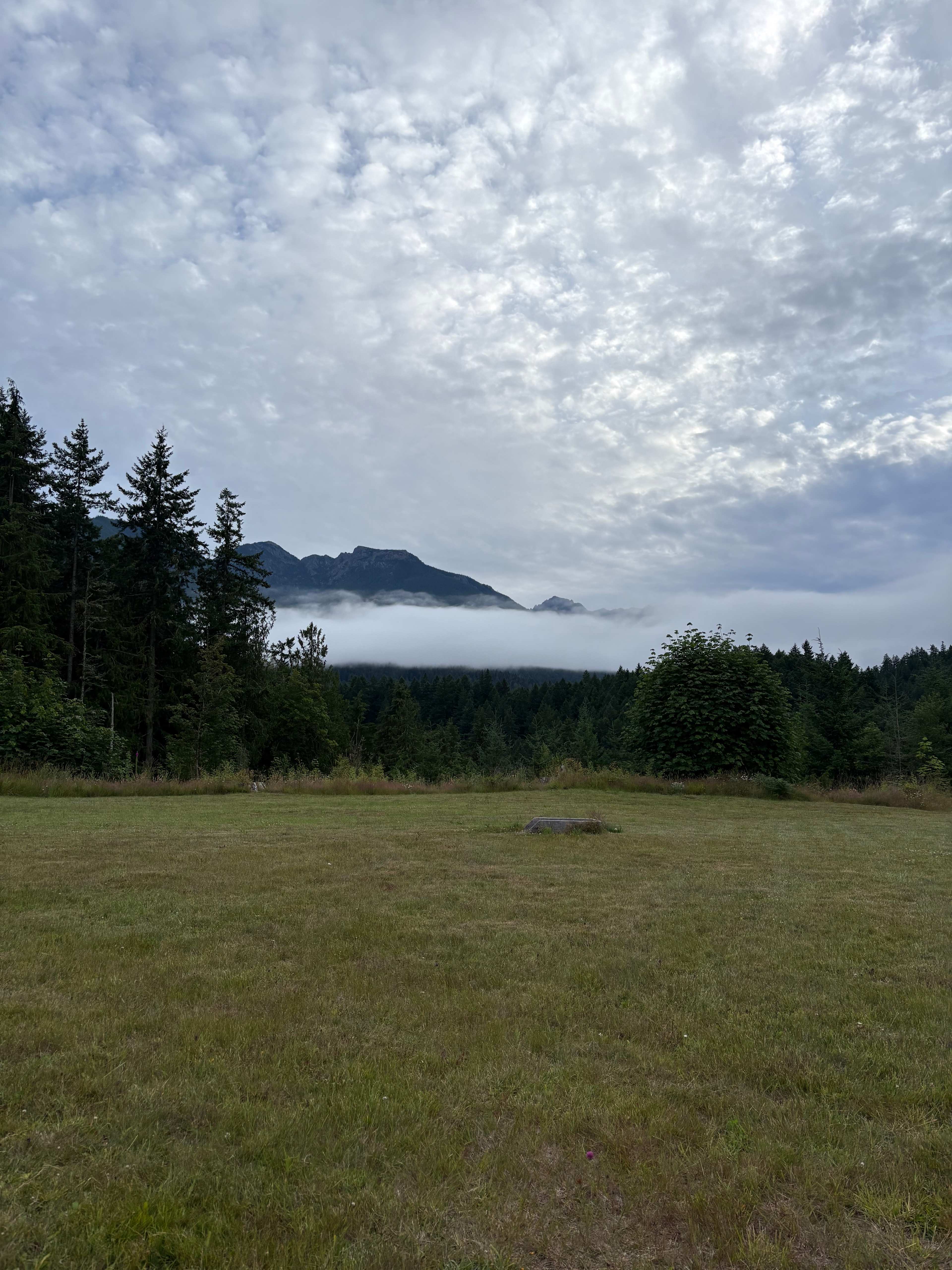 View from site 3