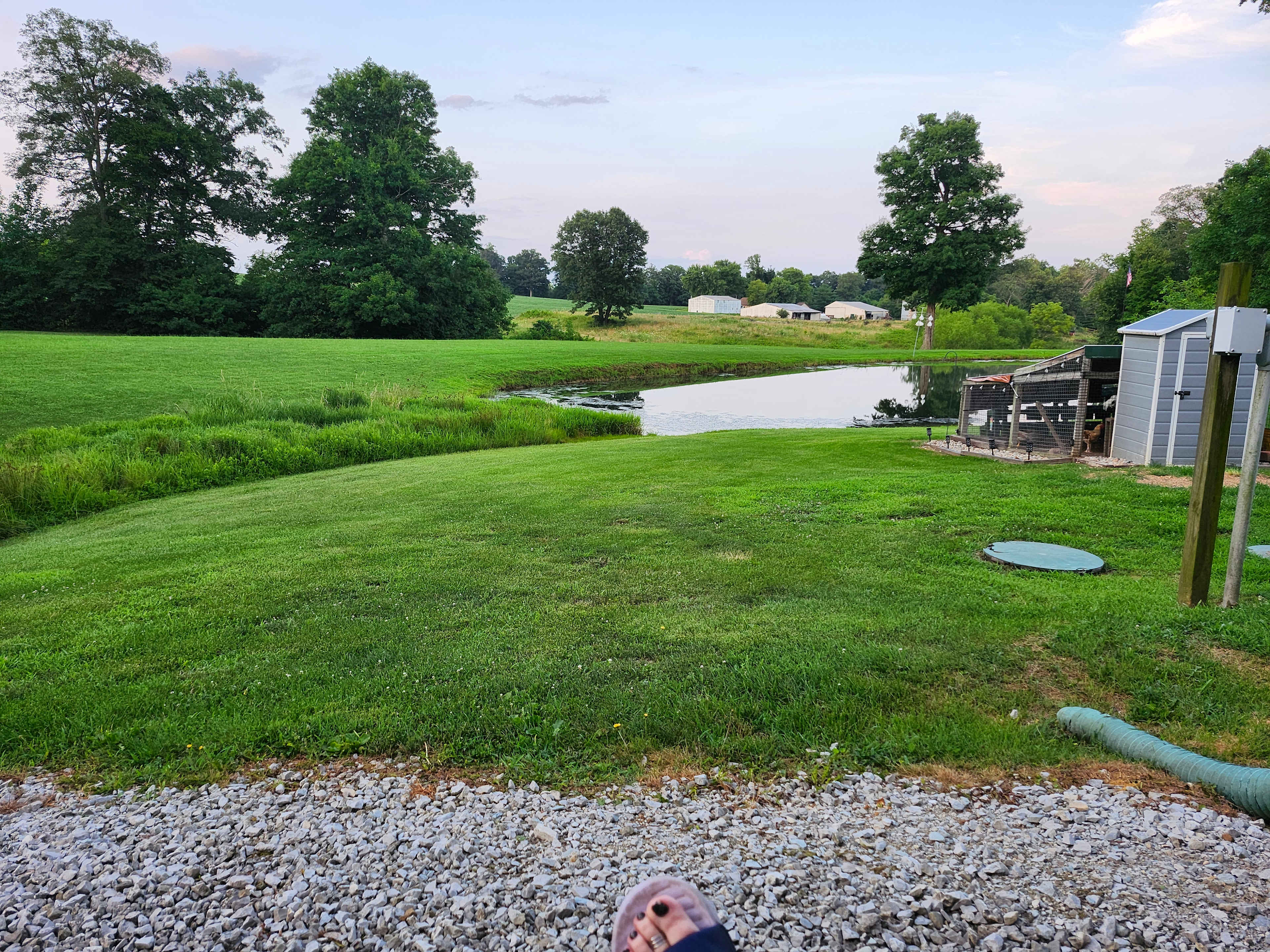 Evening view of pond, field, and coops from site 5.
