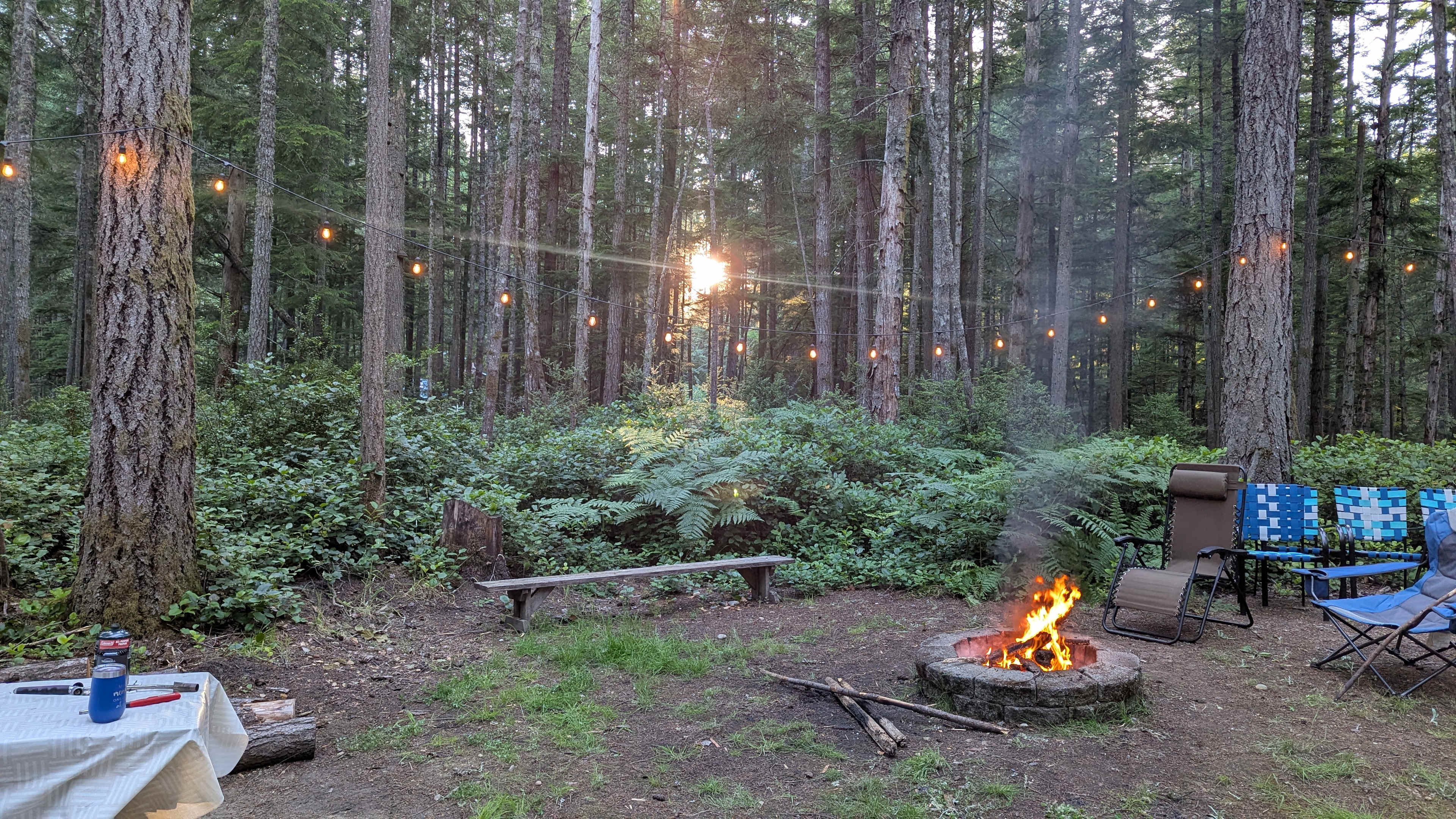Salal Sanctuary