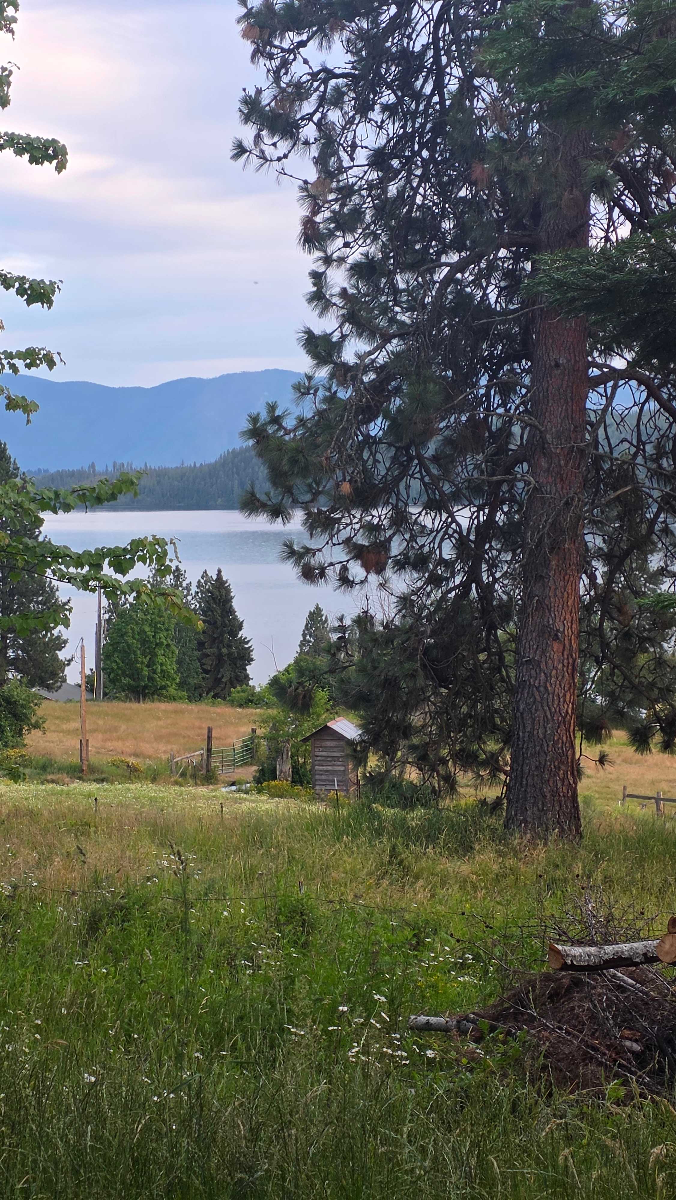 Lakeview Majesty