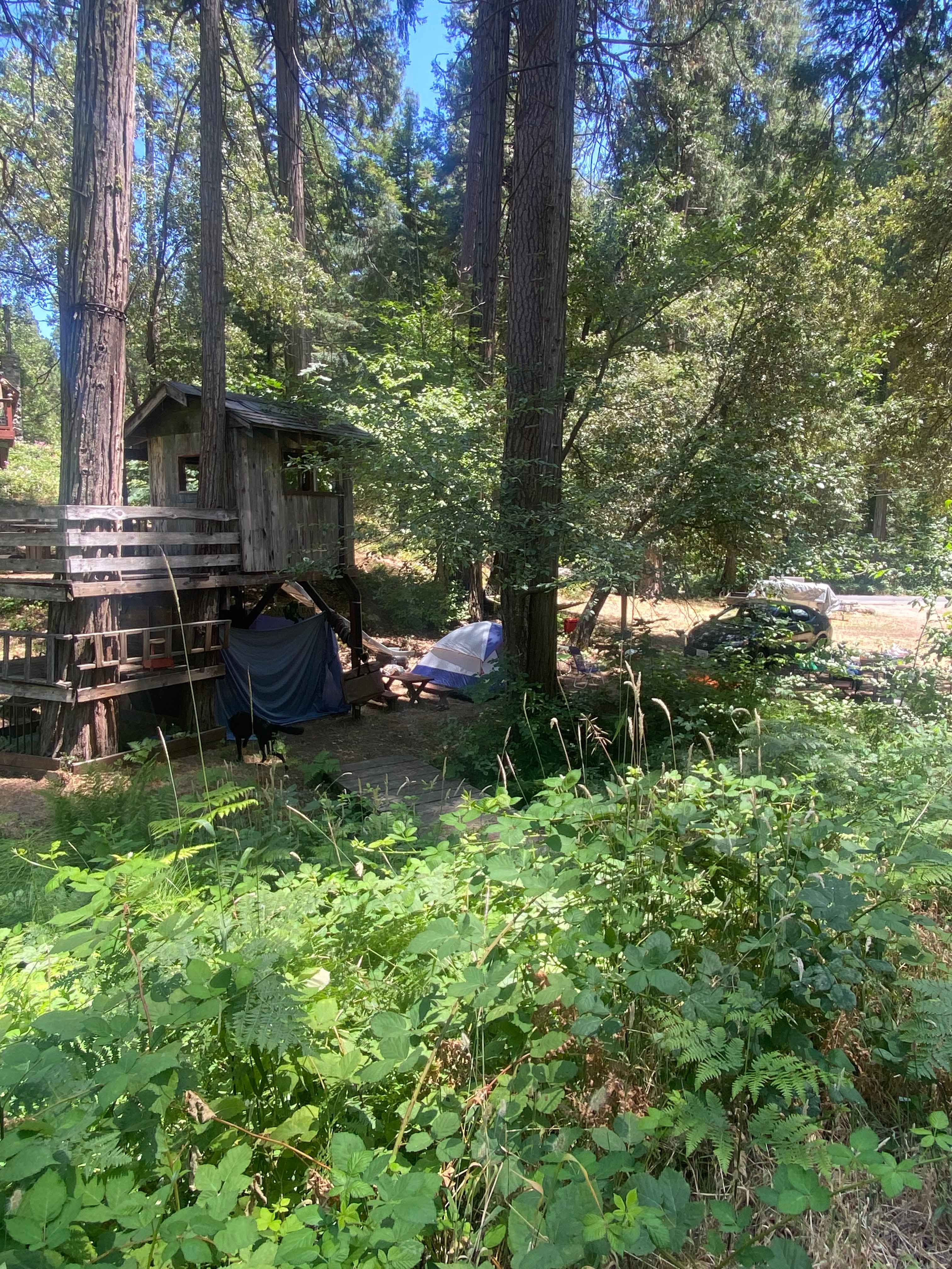 Shangrilog Near Yosemite