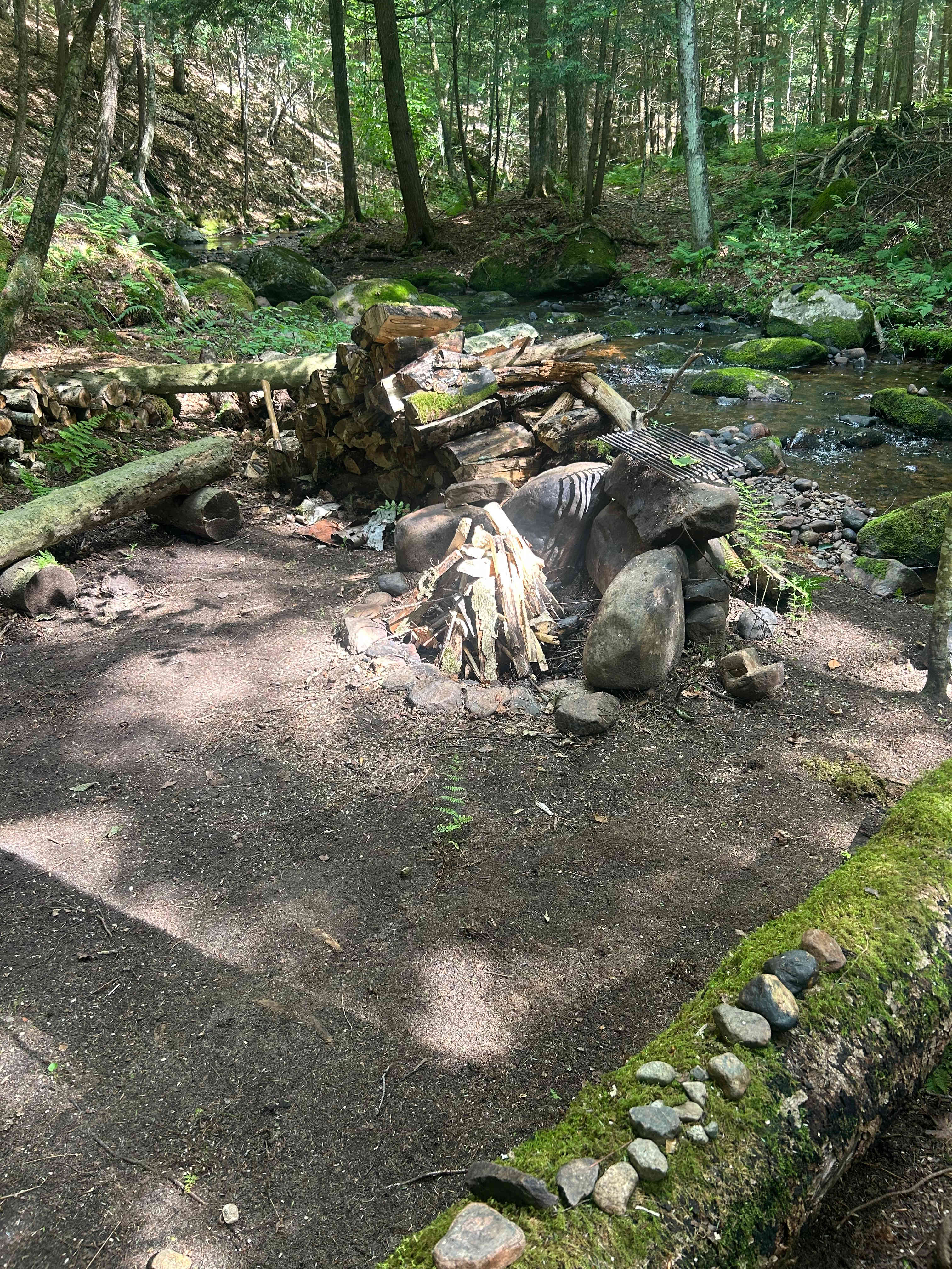 Picture of the site