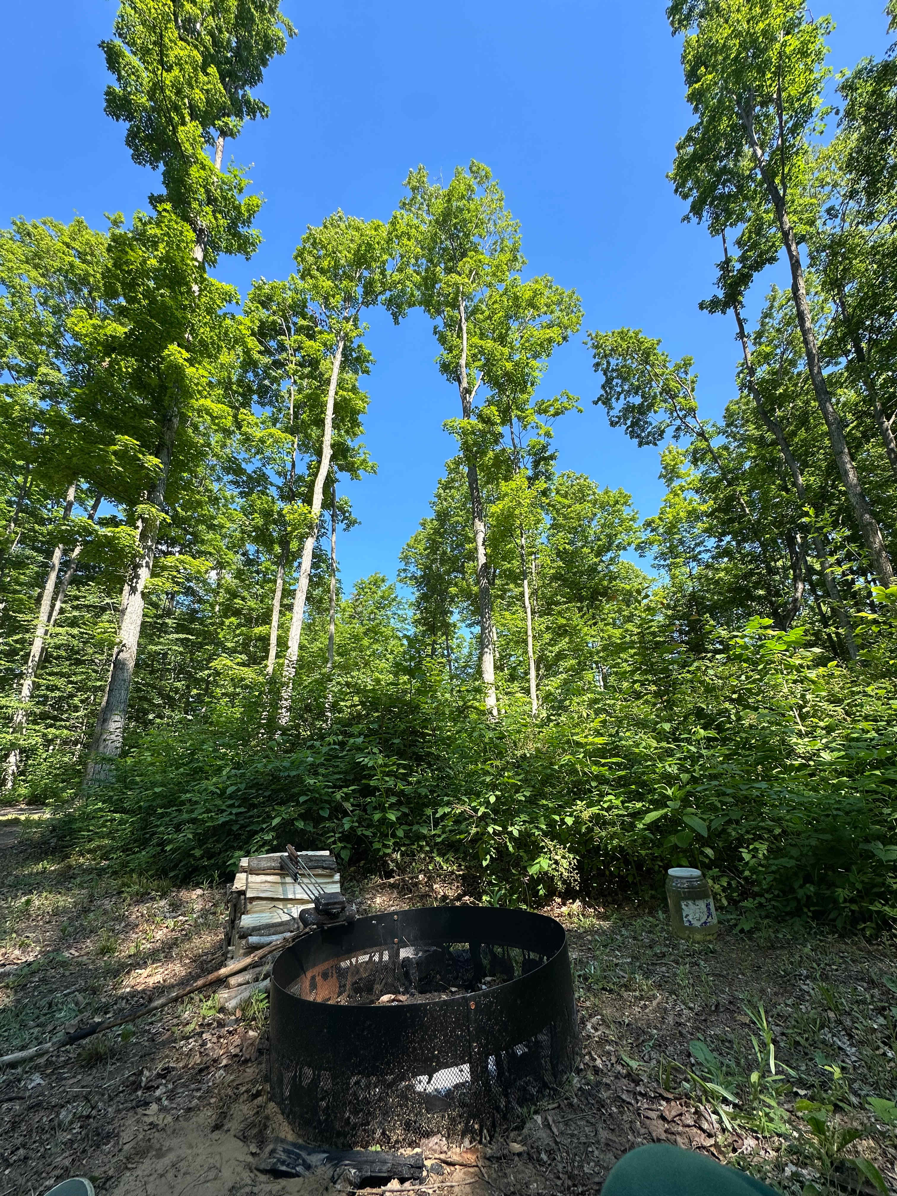Mr. Joe's Campground