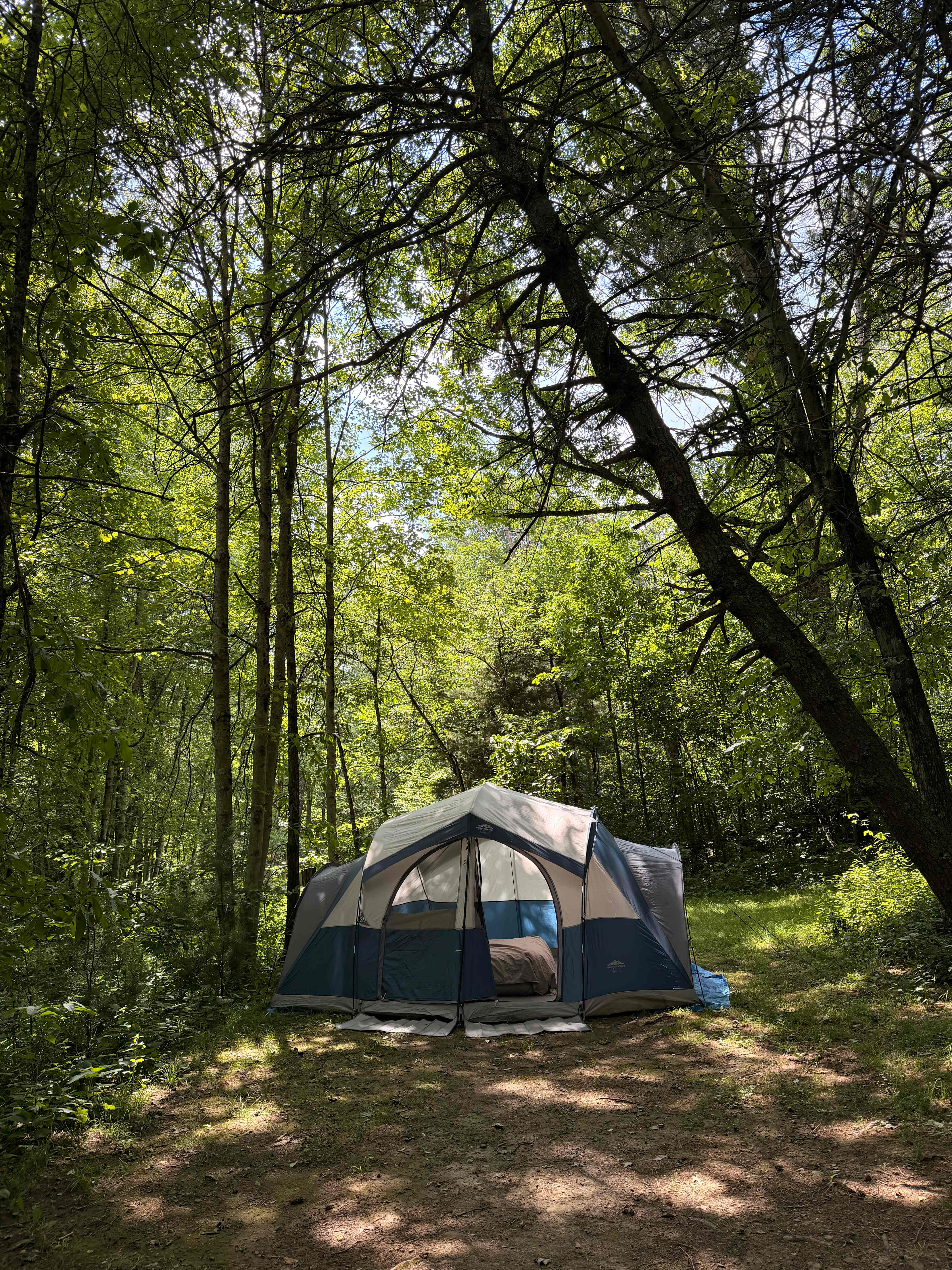 Forest Camping with Modern Comfort
