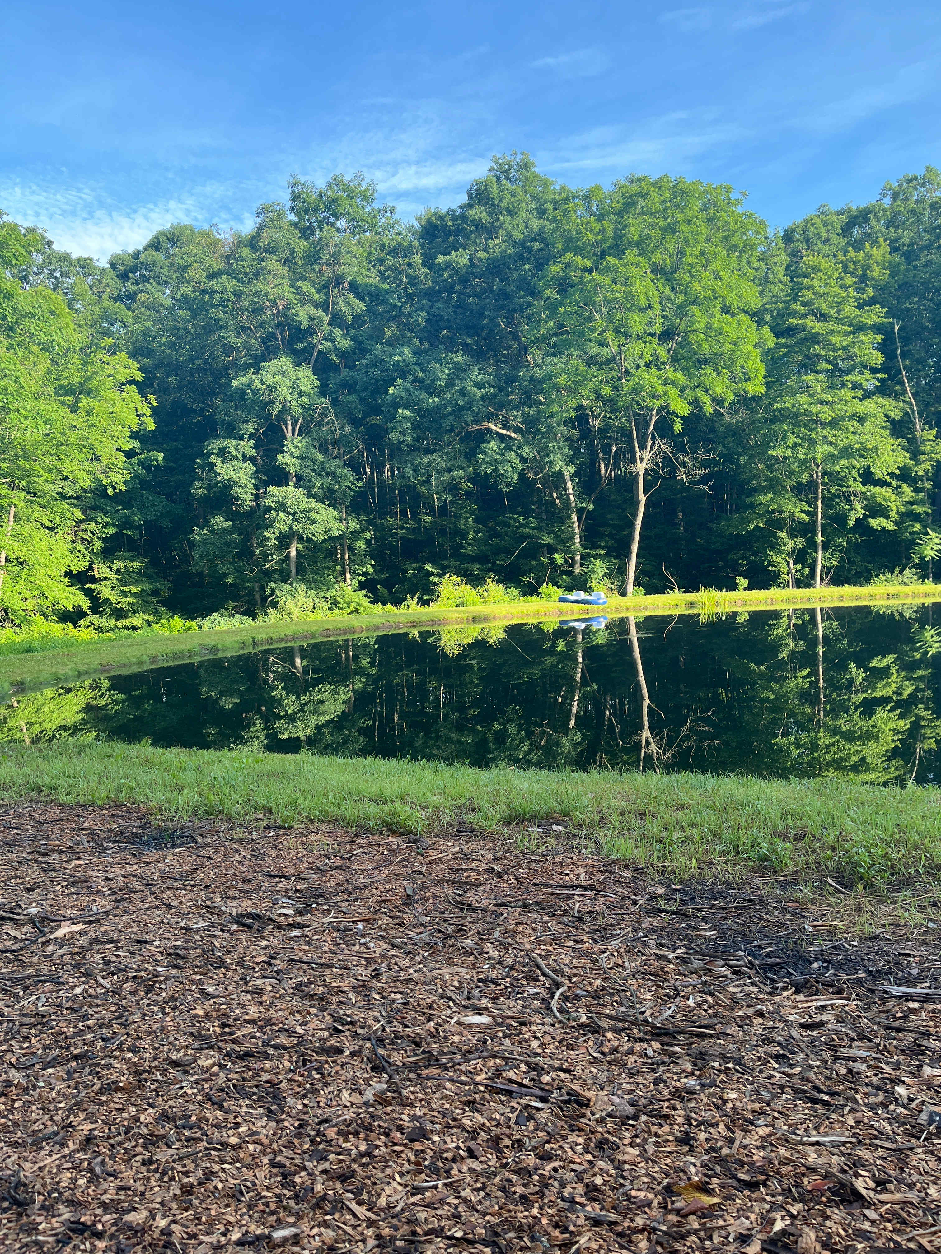 View from the tent! Very peaceful.