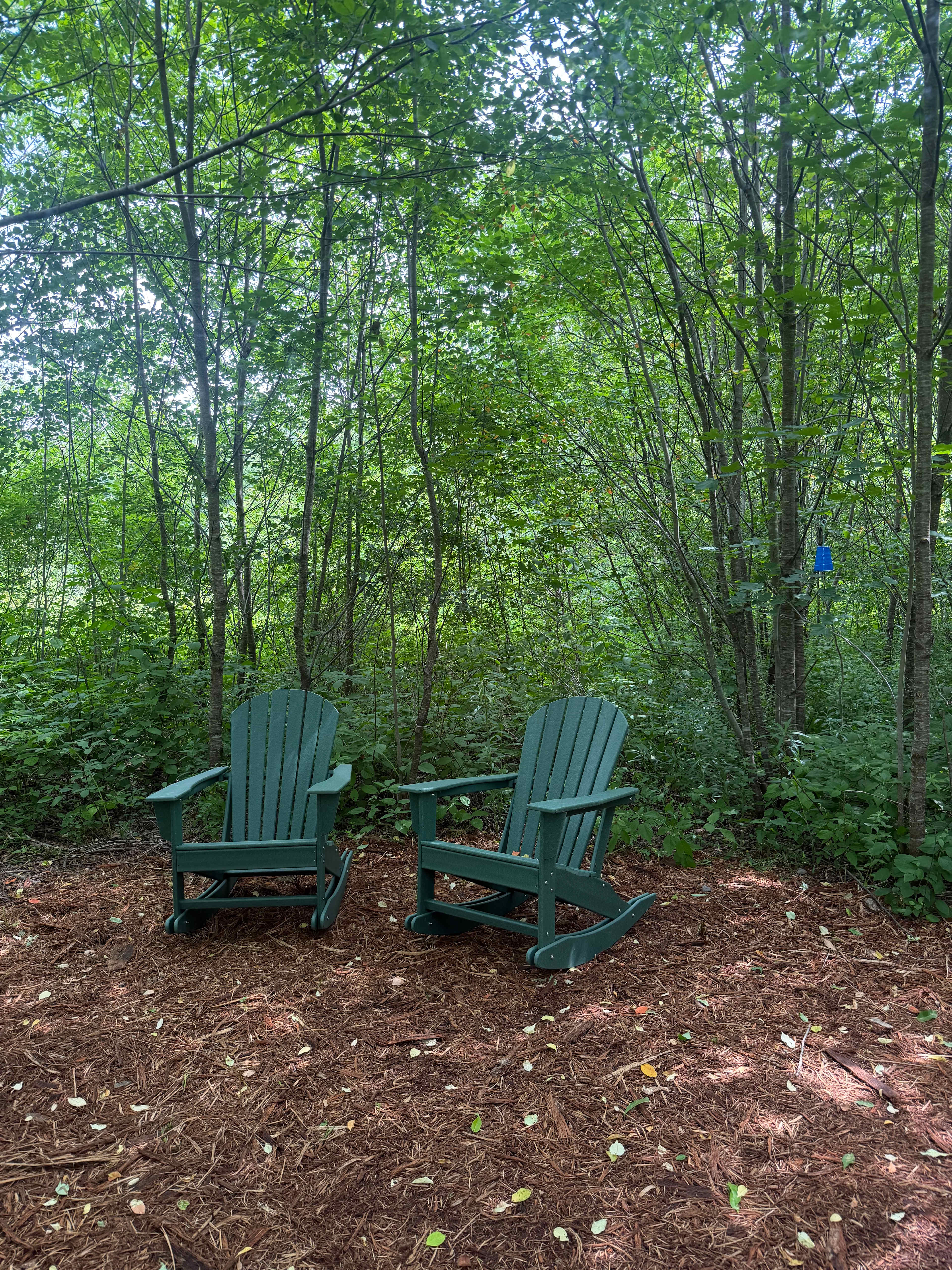 It was fun exploring all the secret places to sit and watch nature.