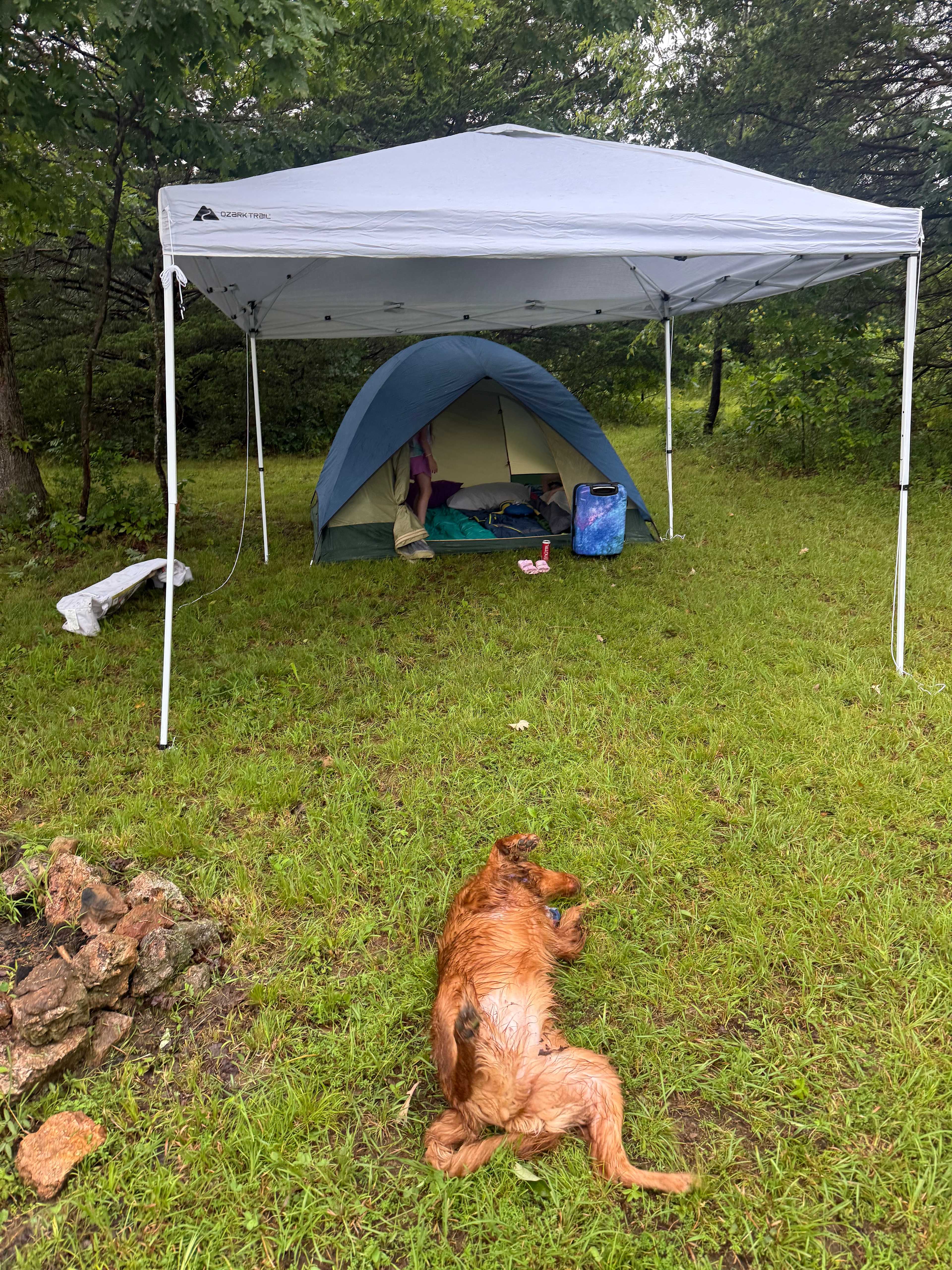 Ozark Hills Honey Farm