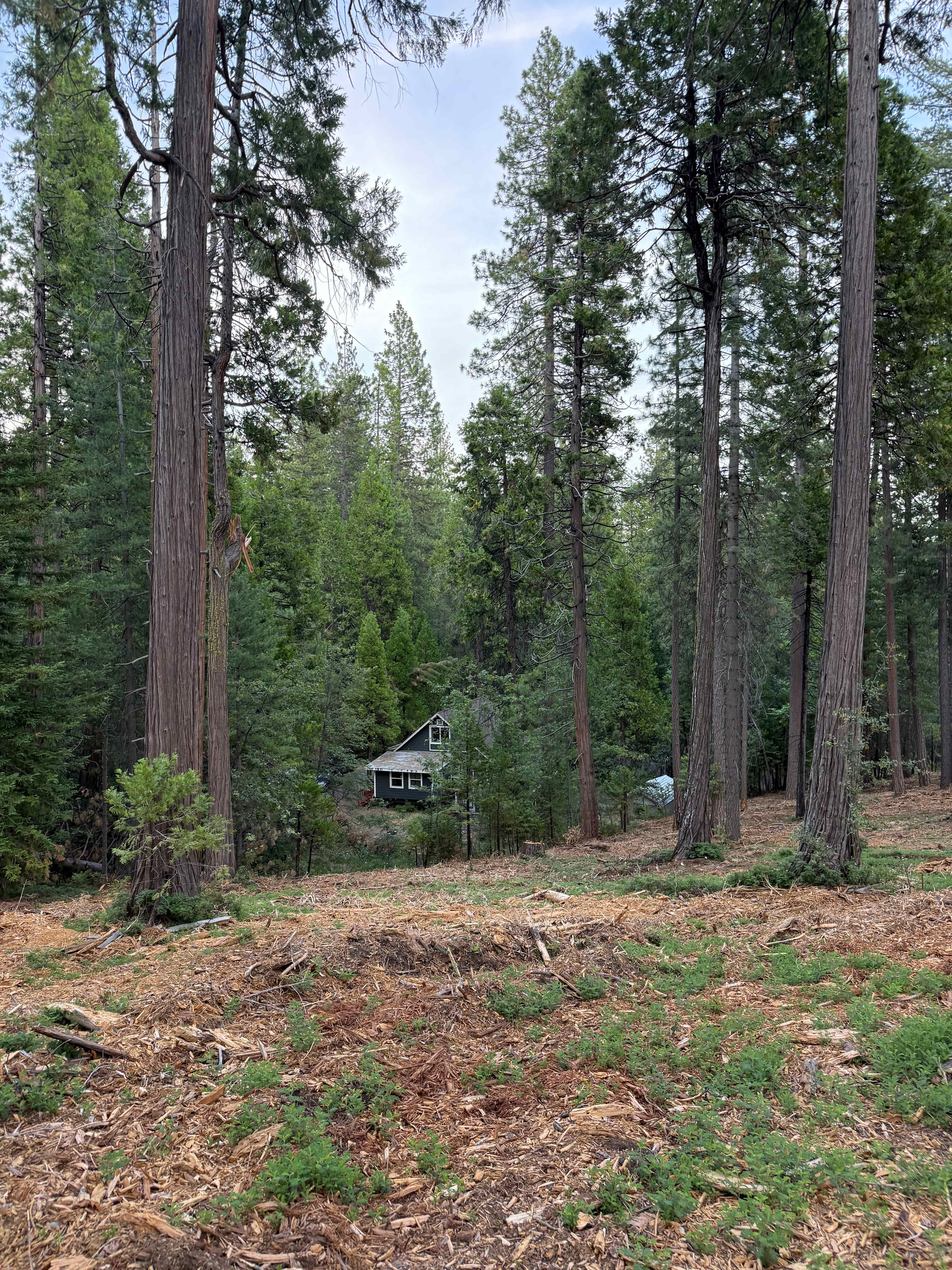 Luxury Cabin| Ev charger | Sauna