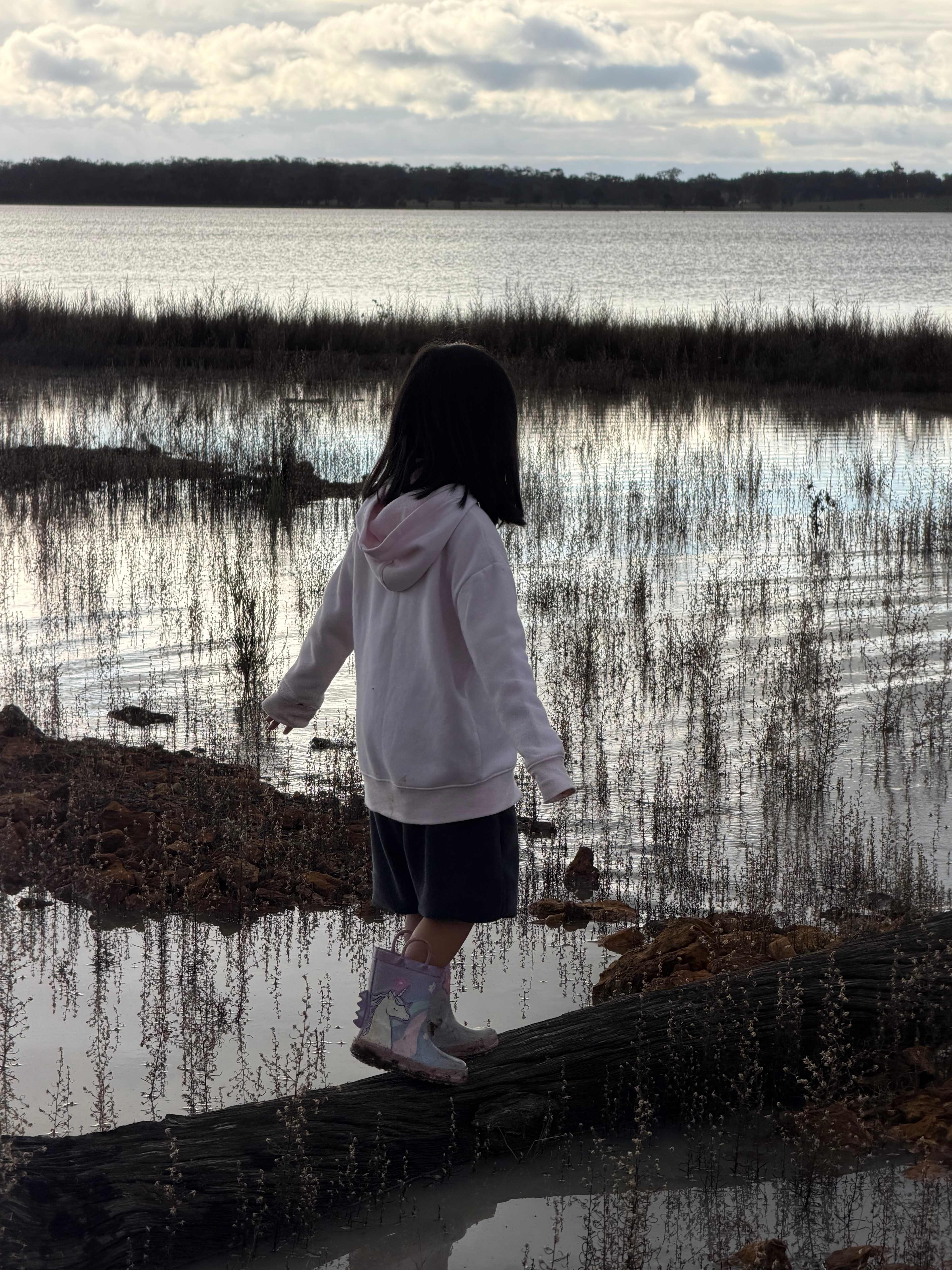 Badgery Point
