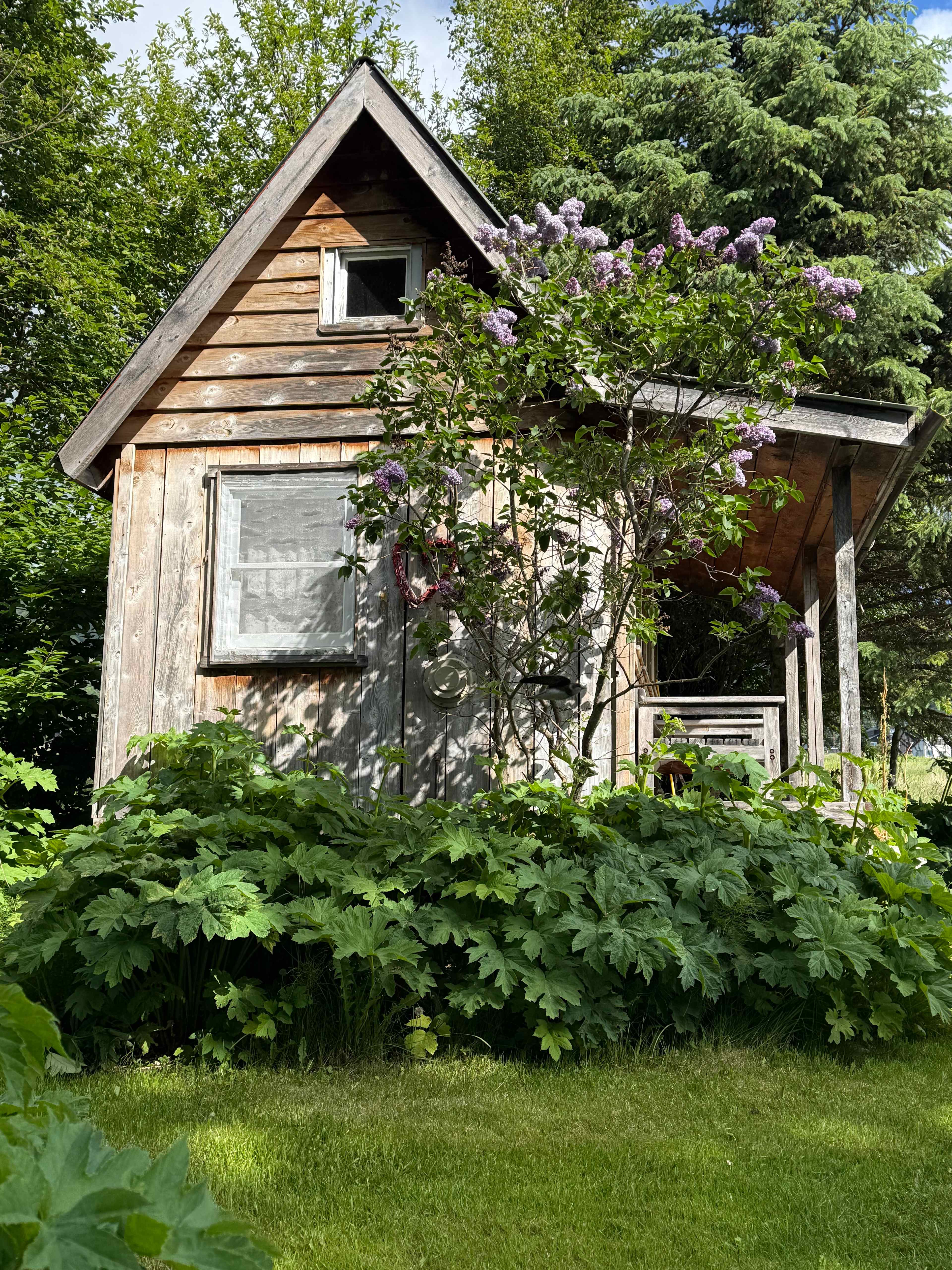 Seaside Farm