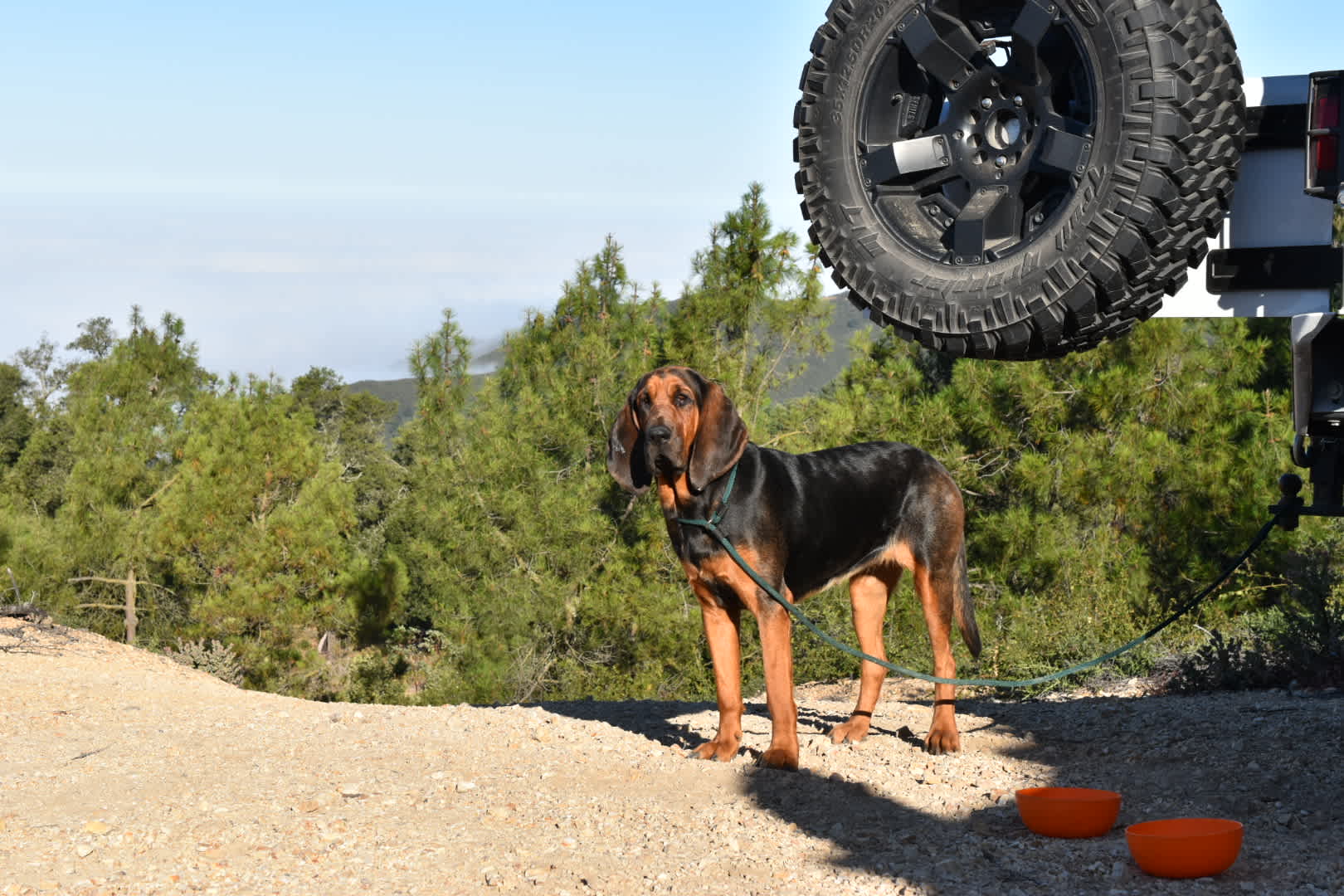 Mt Rancho (FKA La Montaña Ranch)